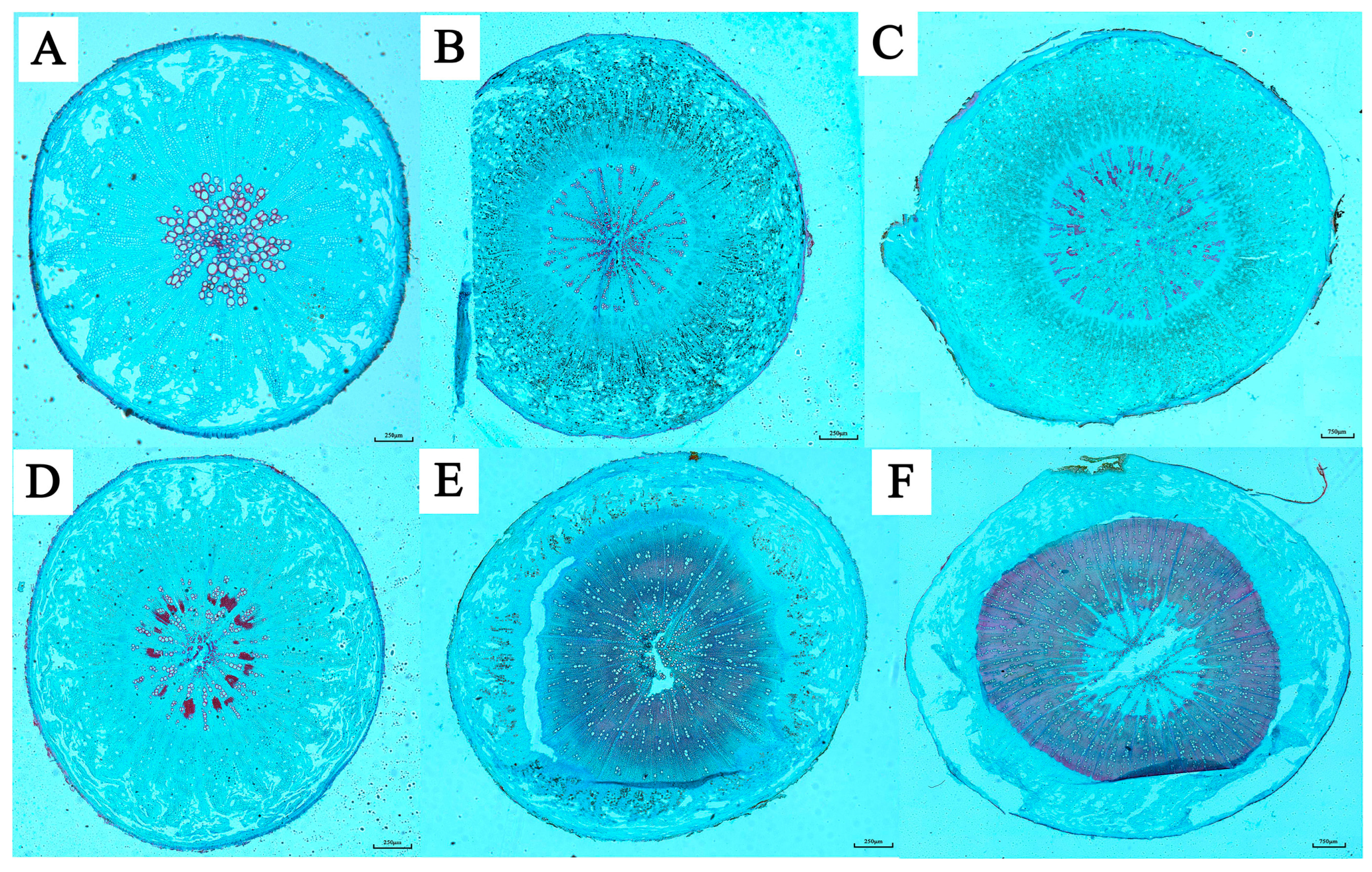 Molecules 28 08153 g002