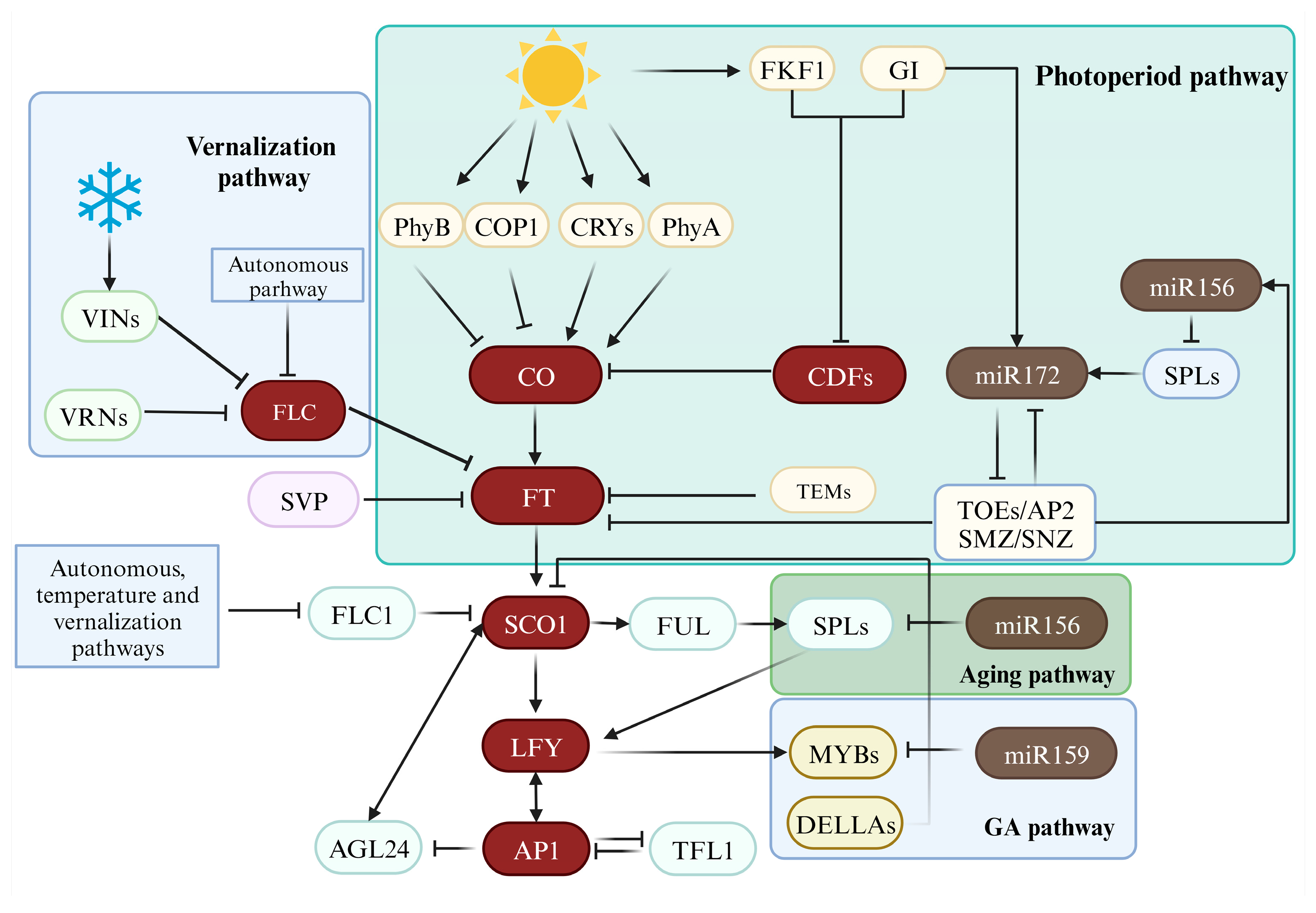 Molecules 28 08153 g003