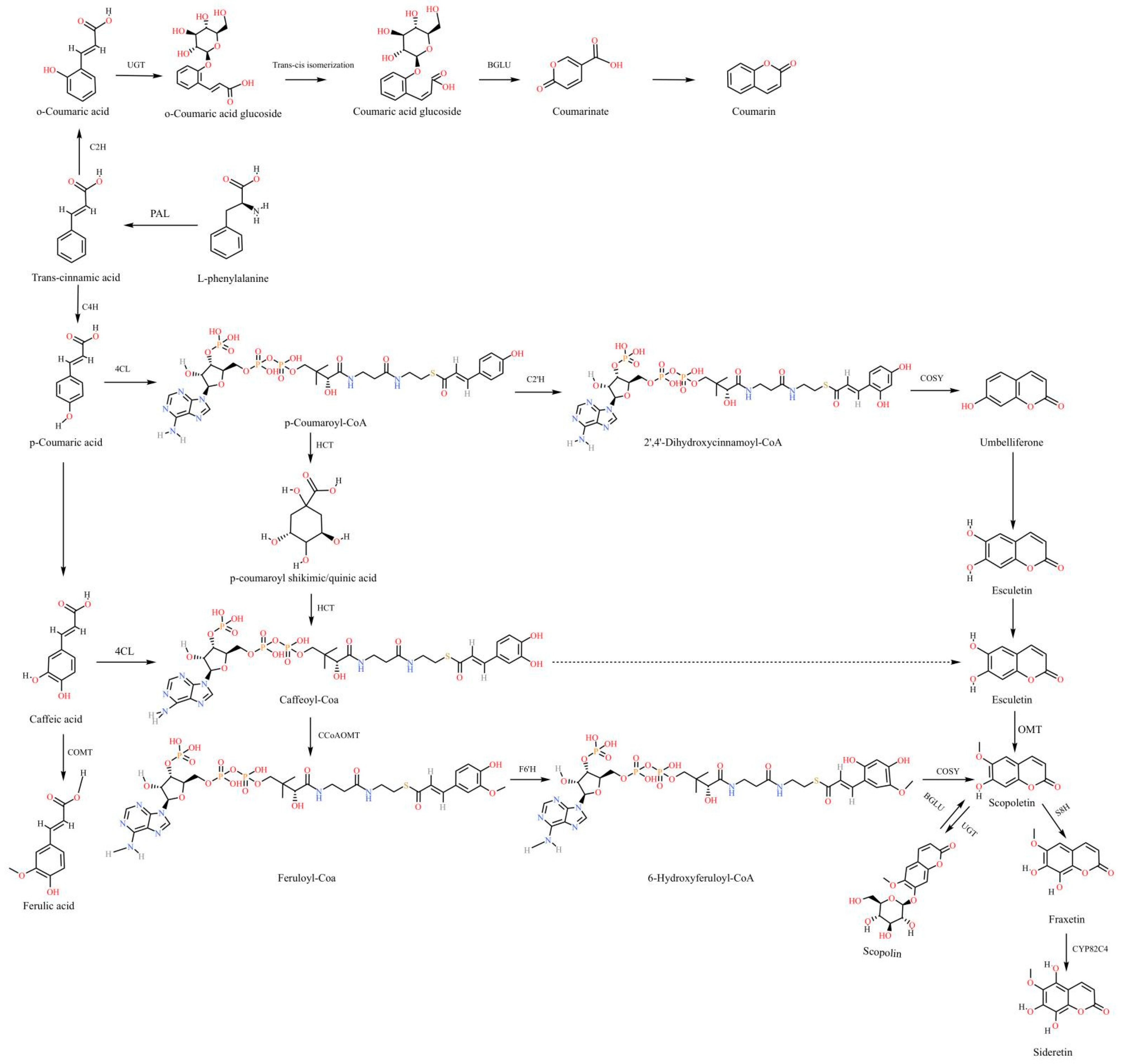 Molecules 28 08153 g005