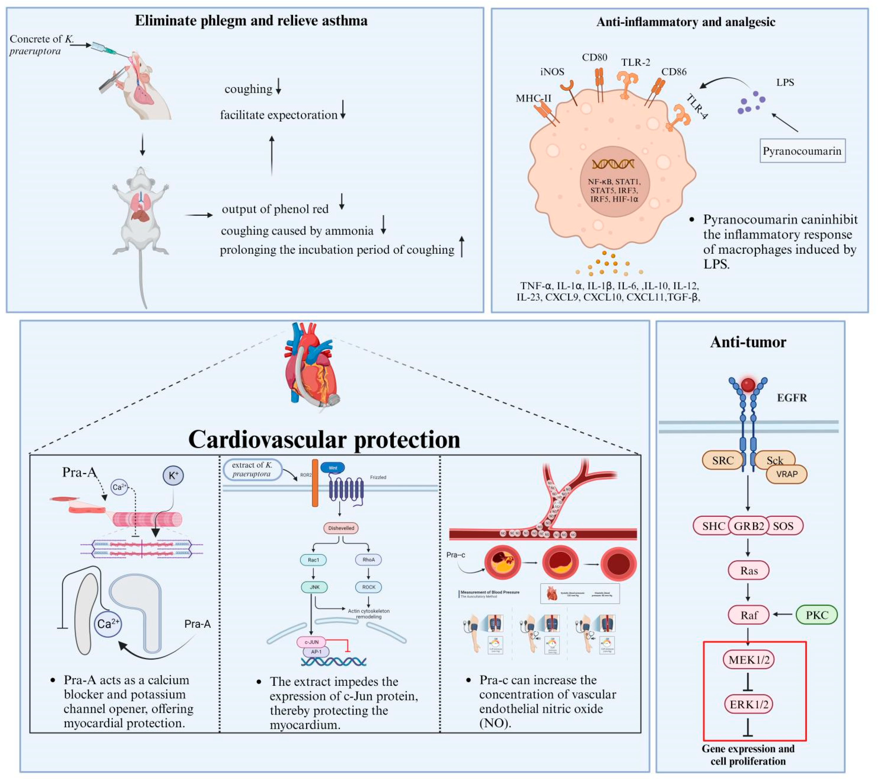 Molecules 28 08153 g006