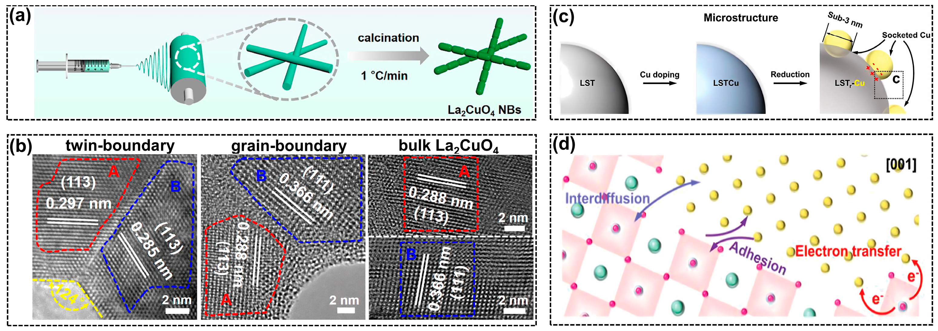 Molecules 28 08154 g007