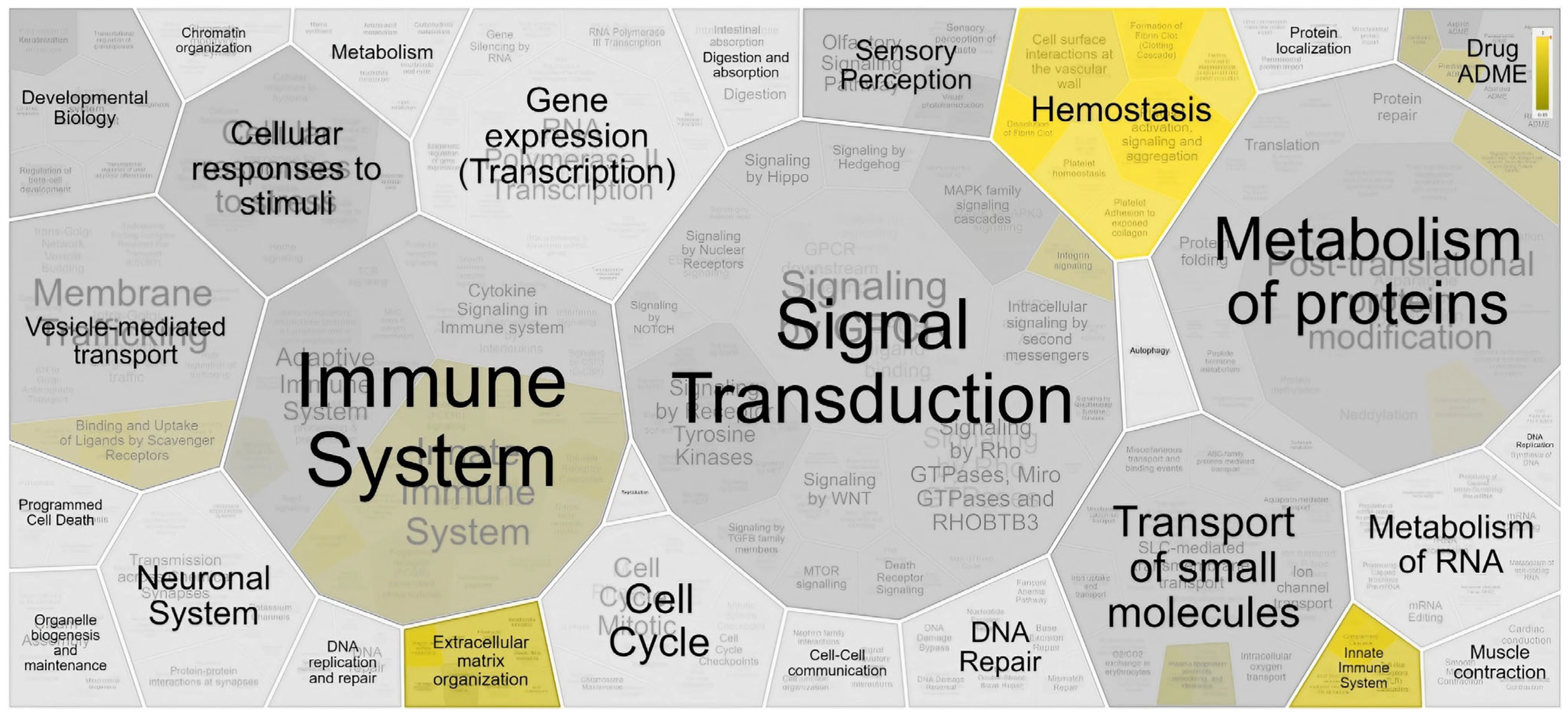 Molecules 28 08155 g003