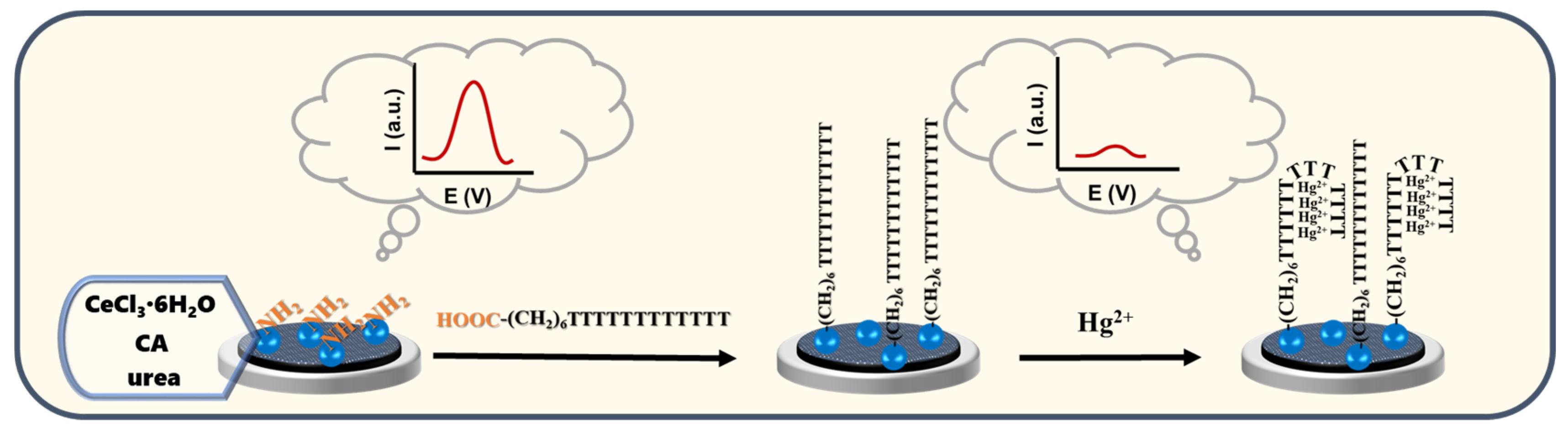 Molecules 29 00001 g001