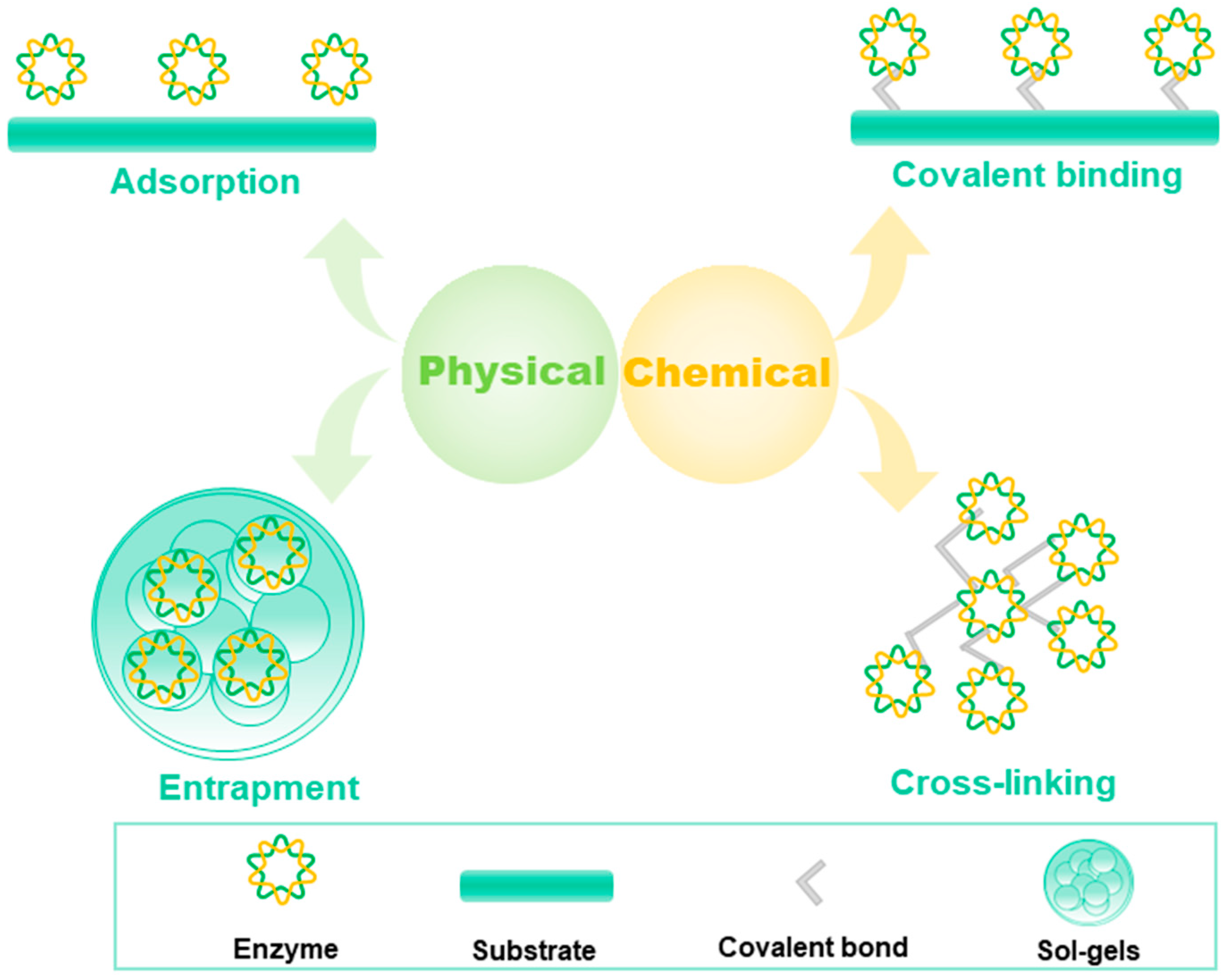 Molecules 29 00005 g004 Molecules 29 00005 g004
