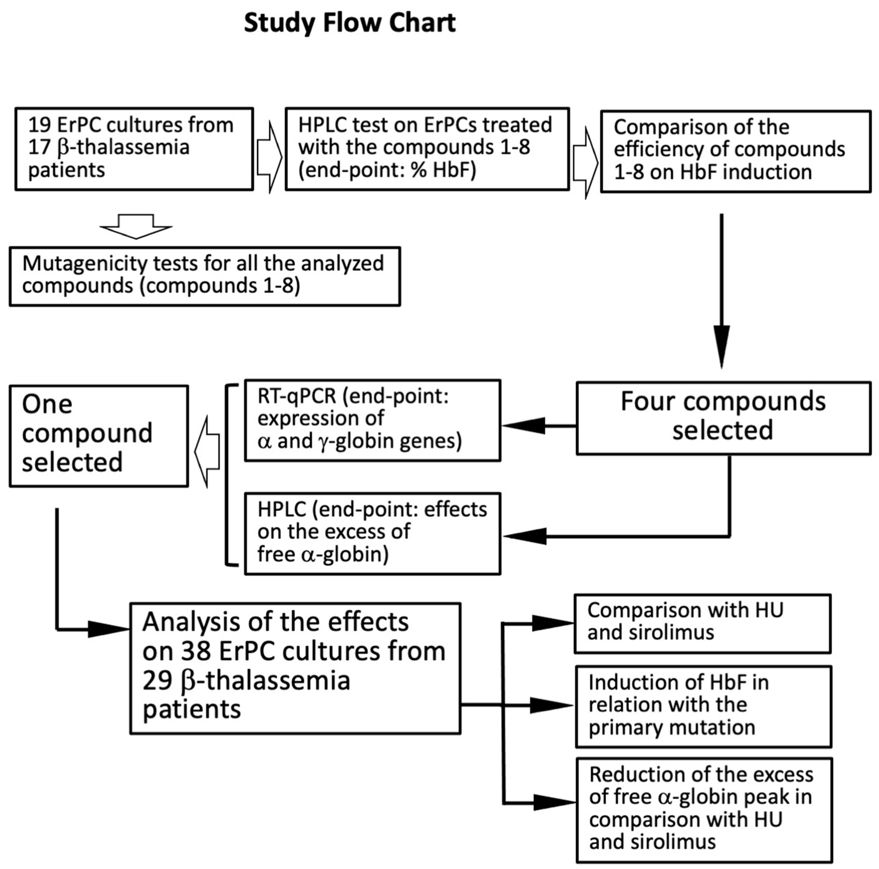 Molecules 29 00008 g004