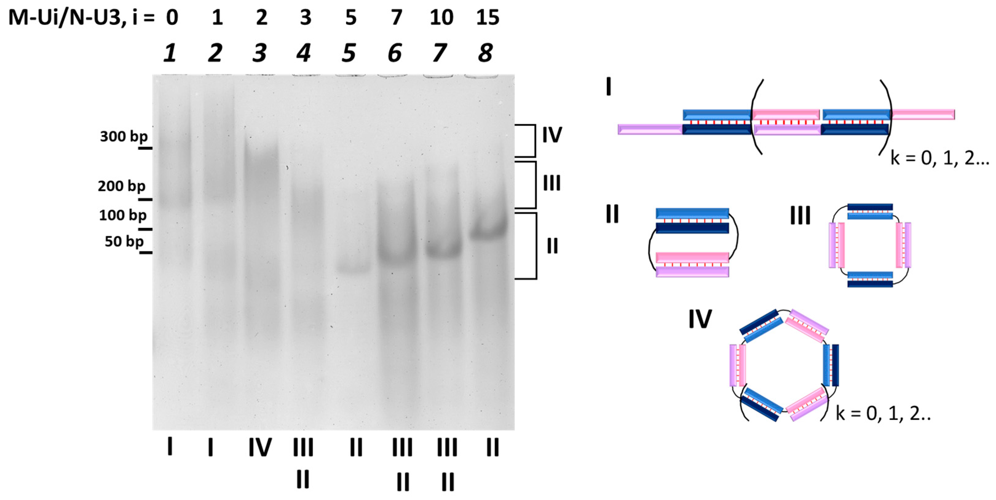 Molecules 29 00010 g002