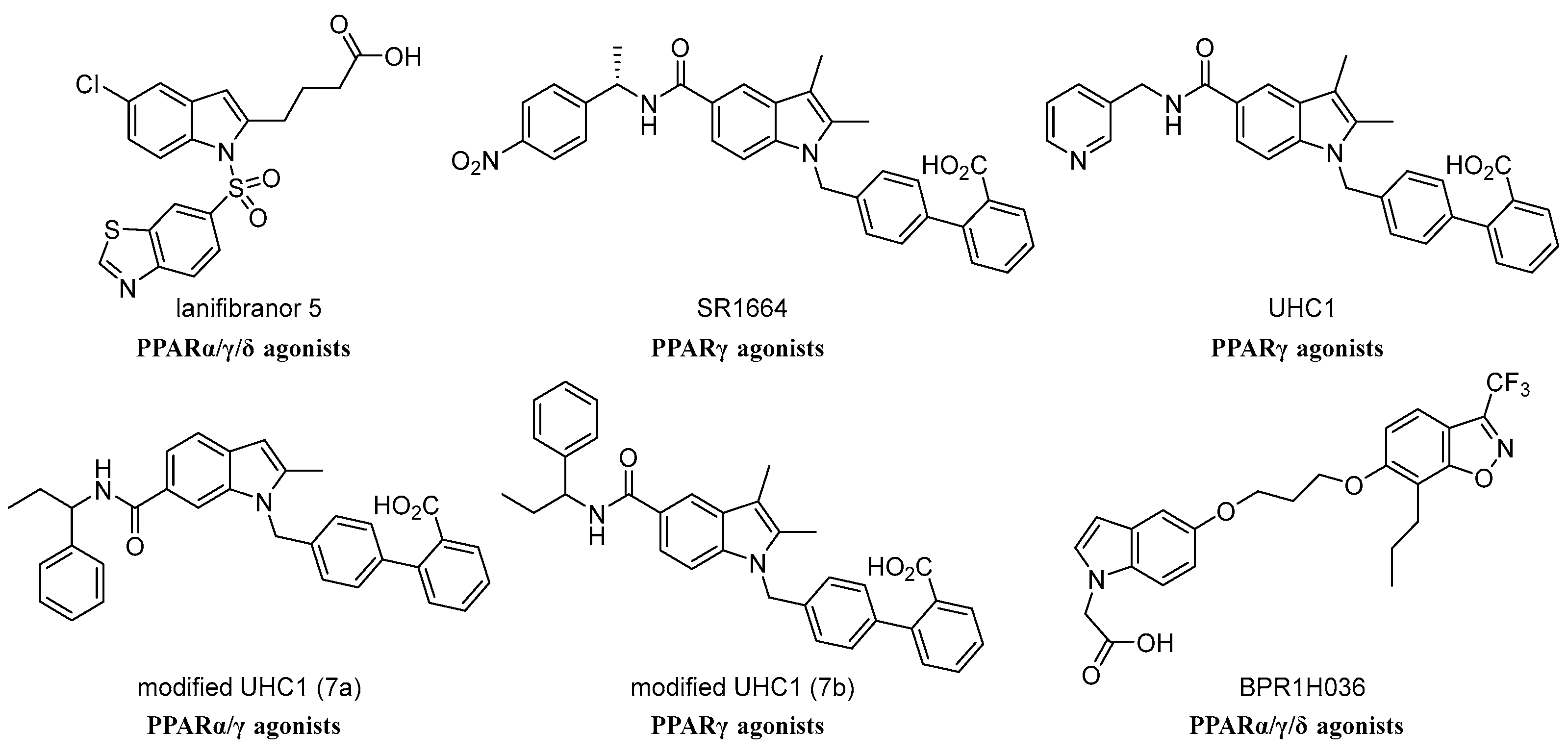Molecules 29 00012 g001