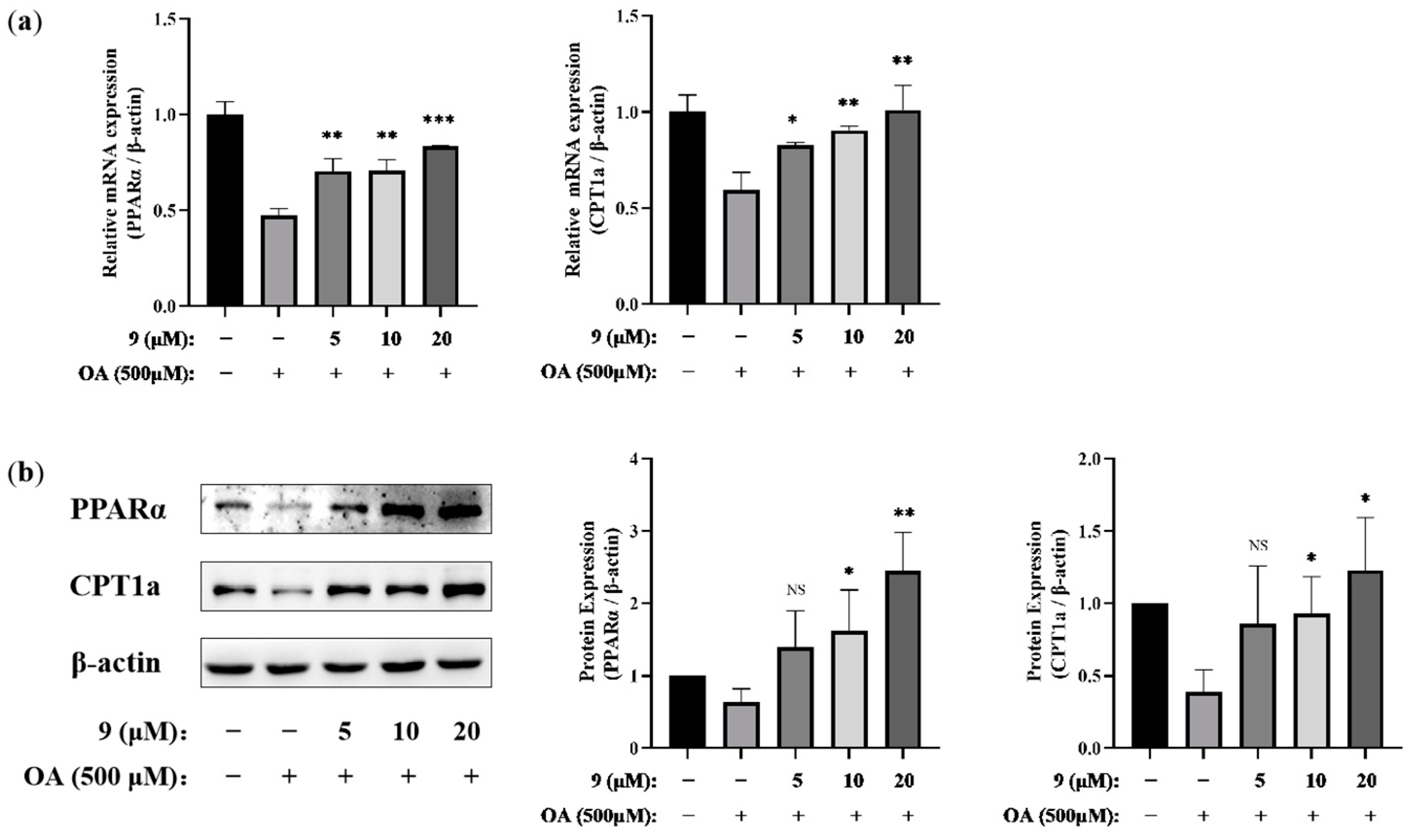 Molecules 29 00012 g006