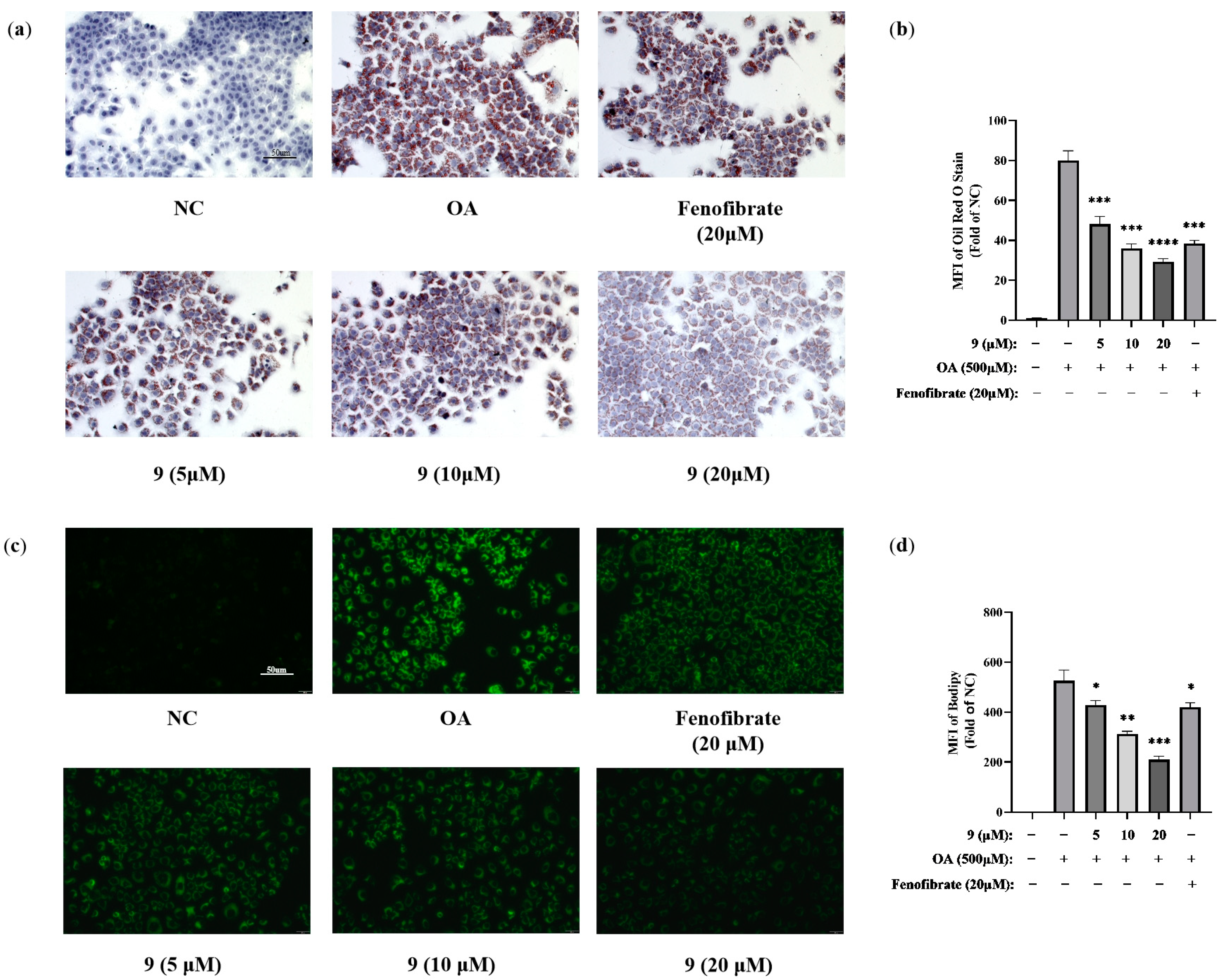 Molecules 29 00012 g008