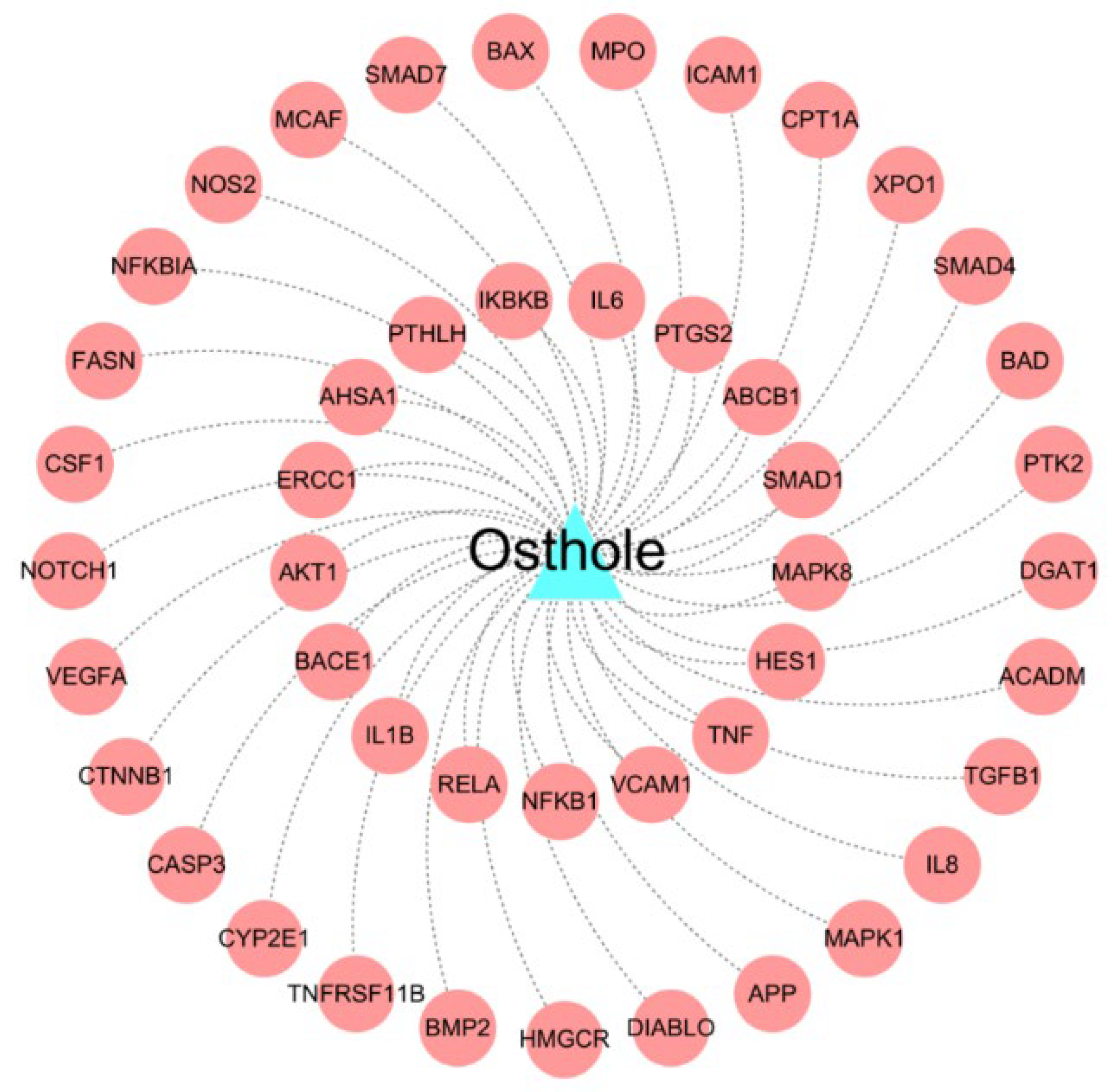 Molecules 29 00021 g003