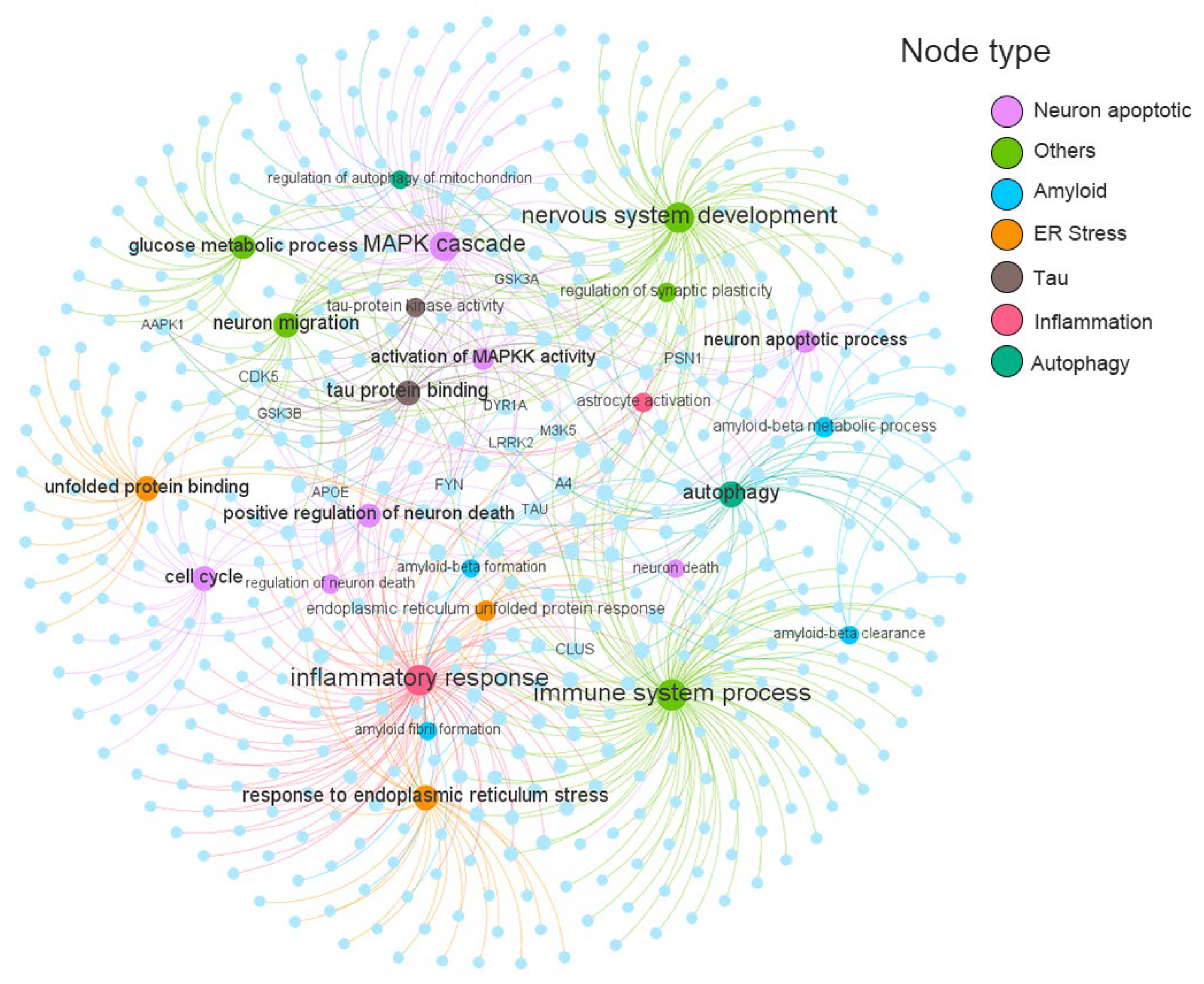 Molecules 29 00021 g004