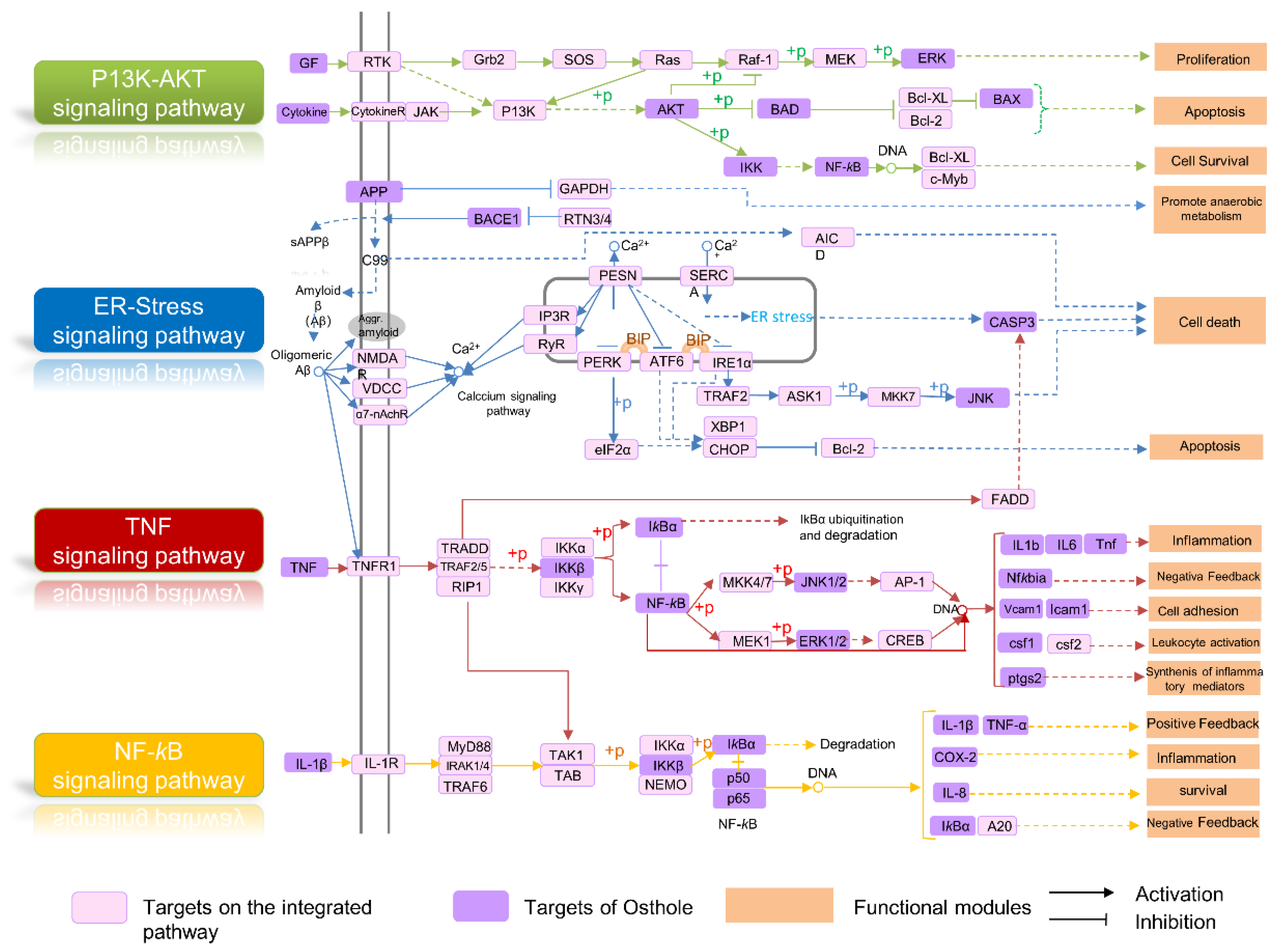 Molecules 29 00021 g006