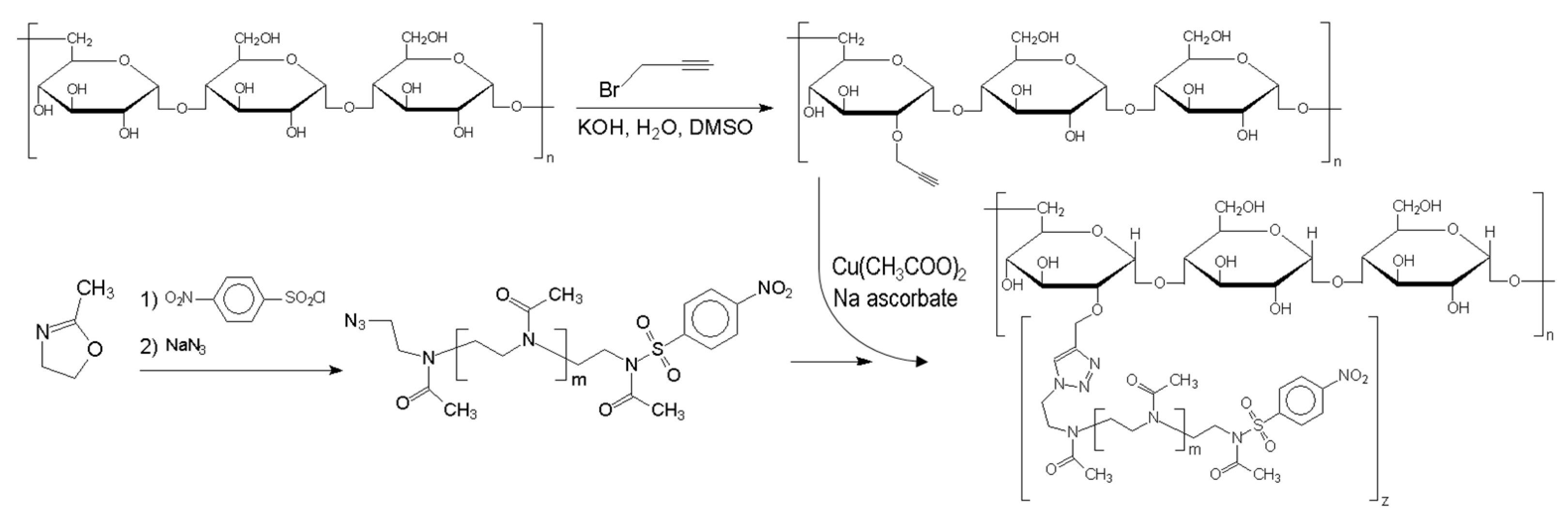 Molecules 29 00026 g006