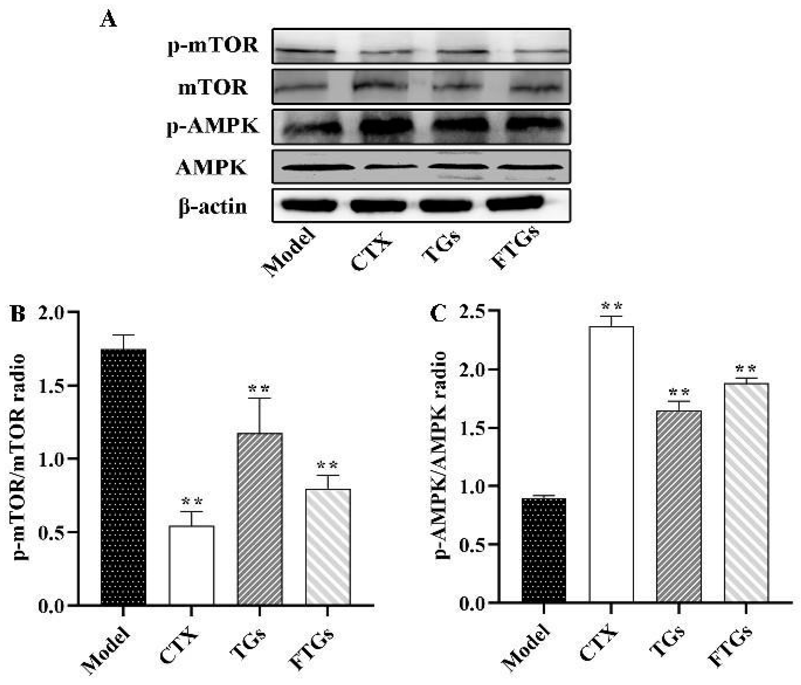 Molecules 29 00027 g004