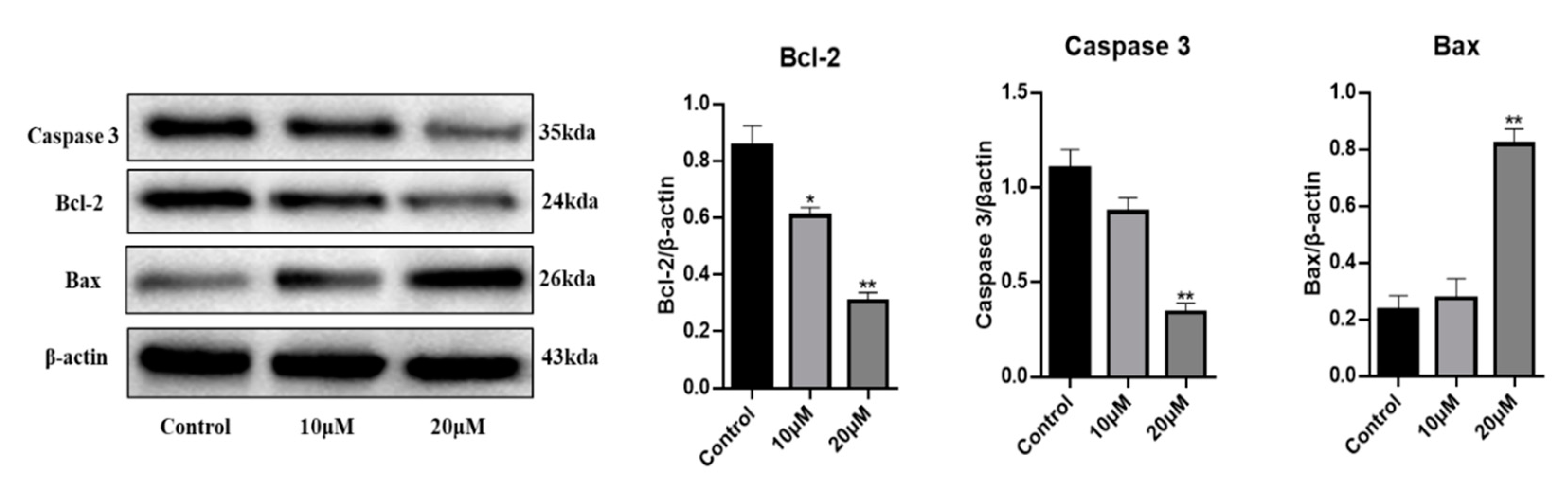 Molecules 29 00030 g004