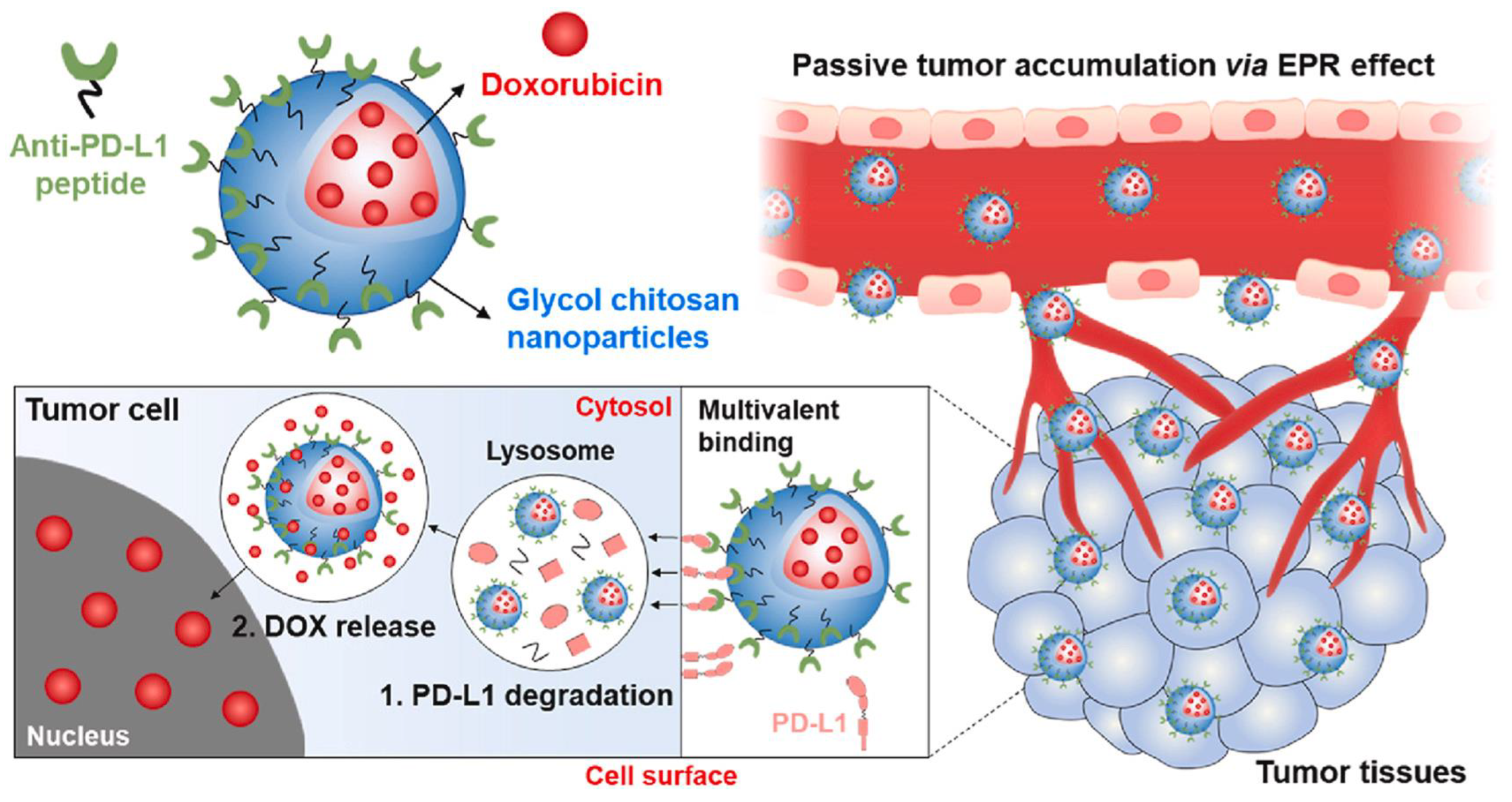 Molecules 29 00031 g005