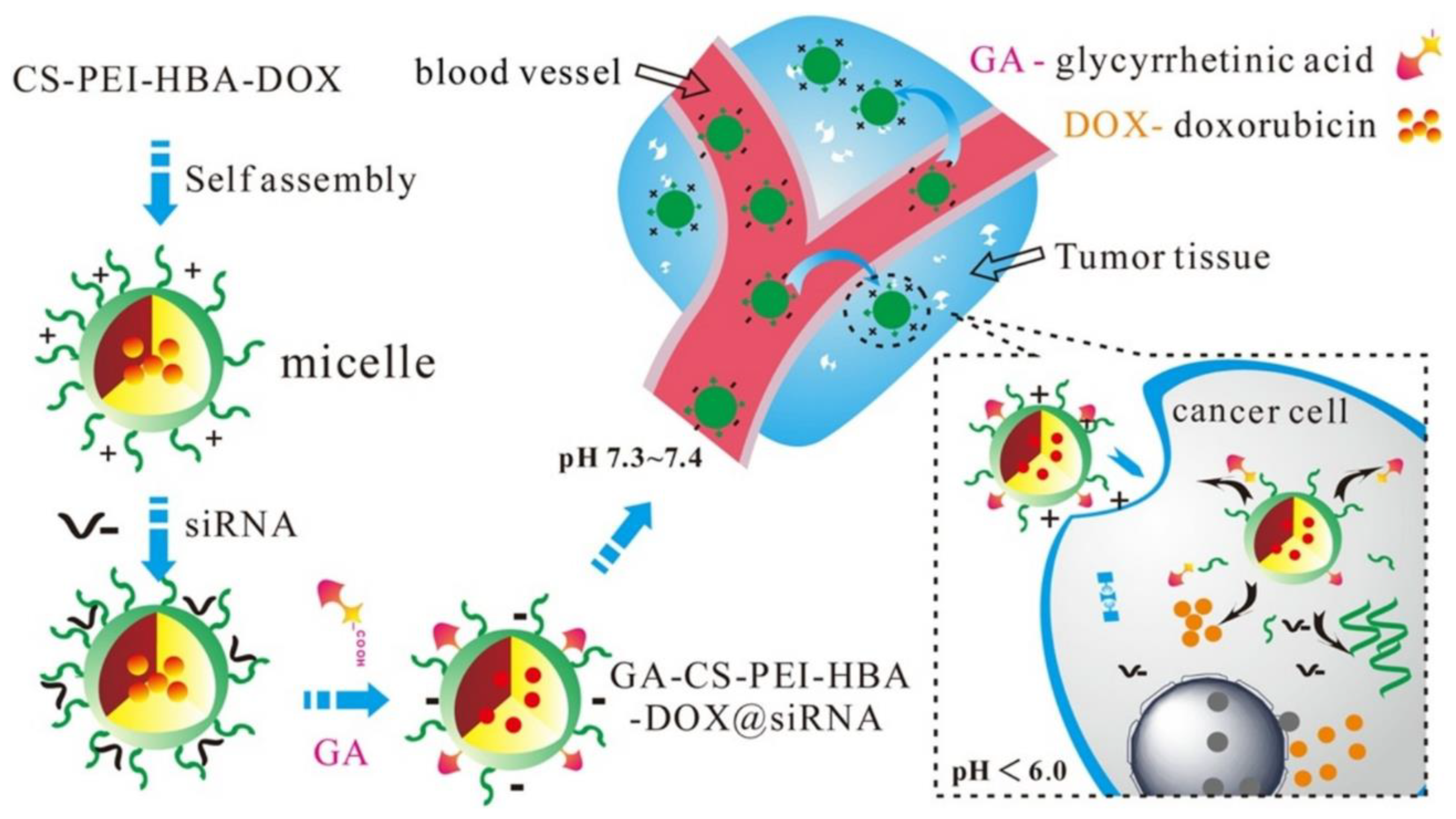 Molecules 29 00031 g007