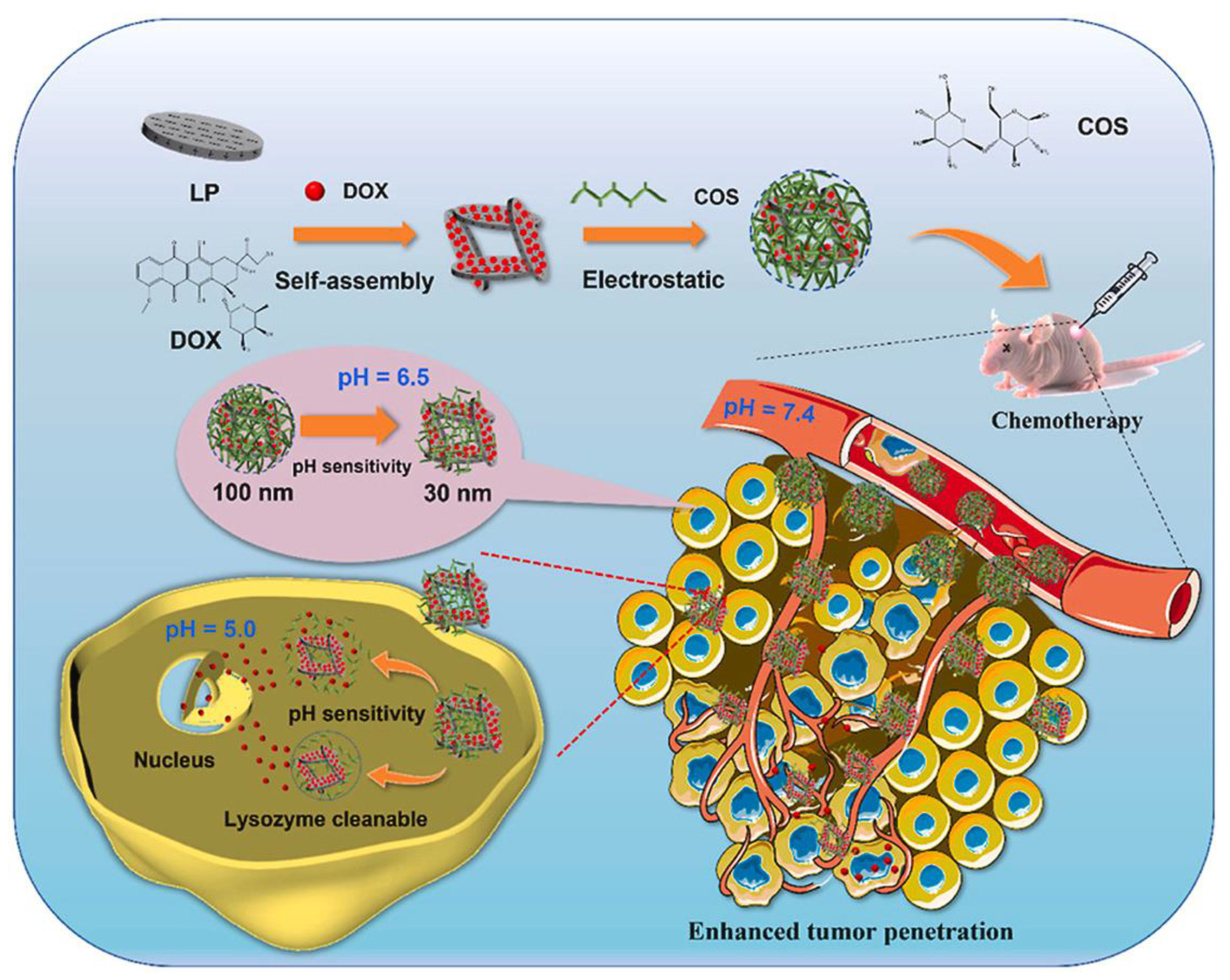 Molecules 29 00031 g008