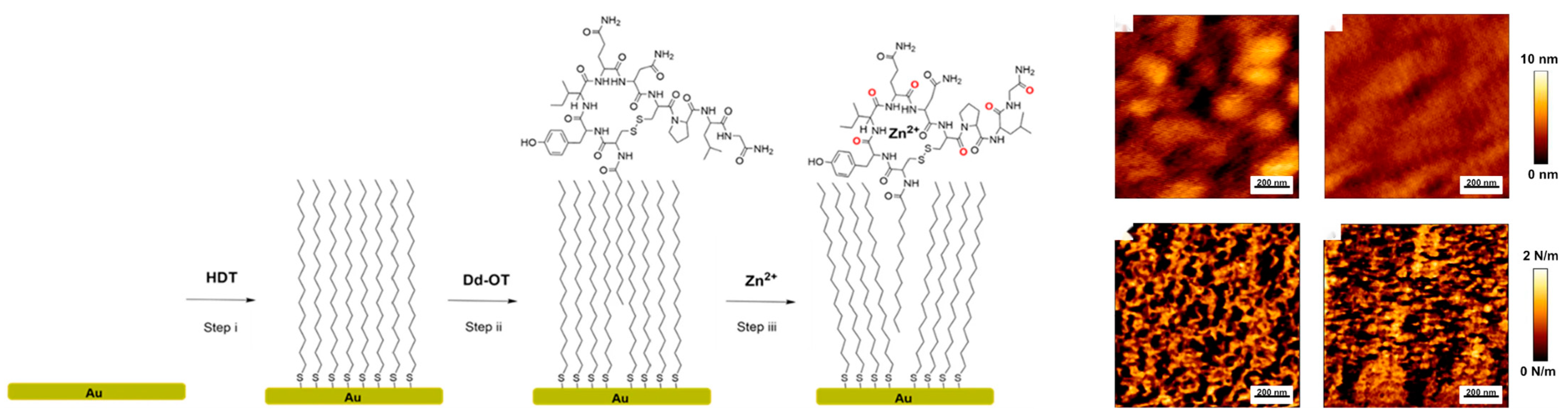 Molecules 29 00034 g005