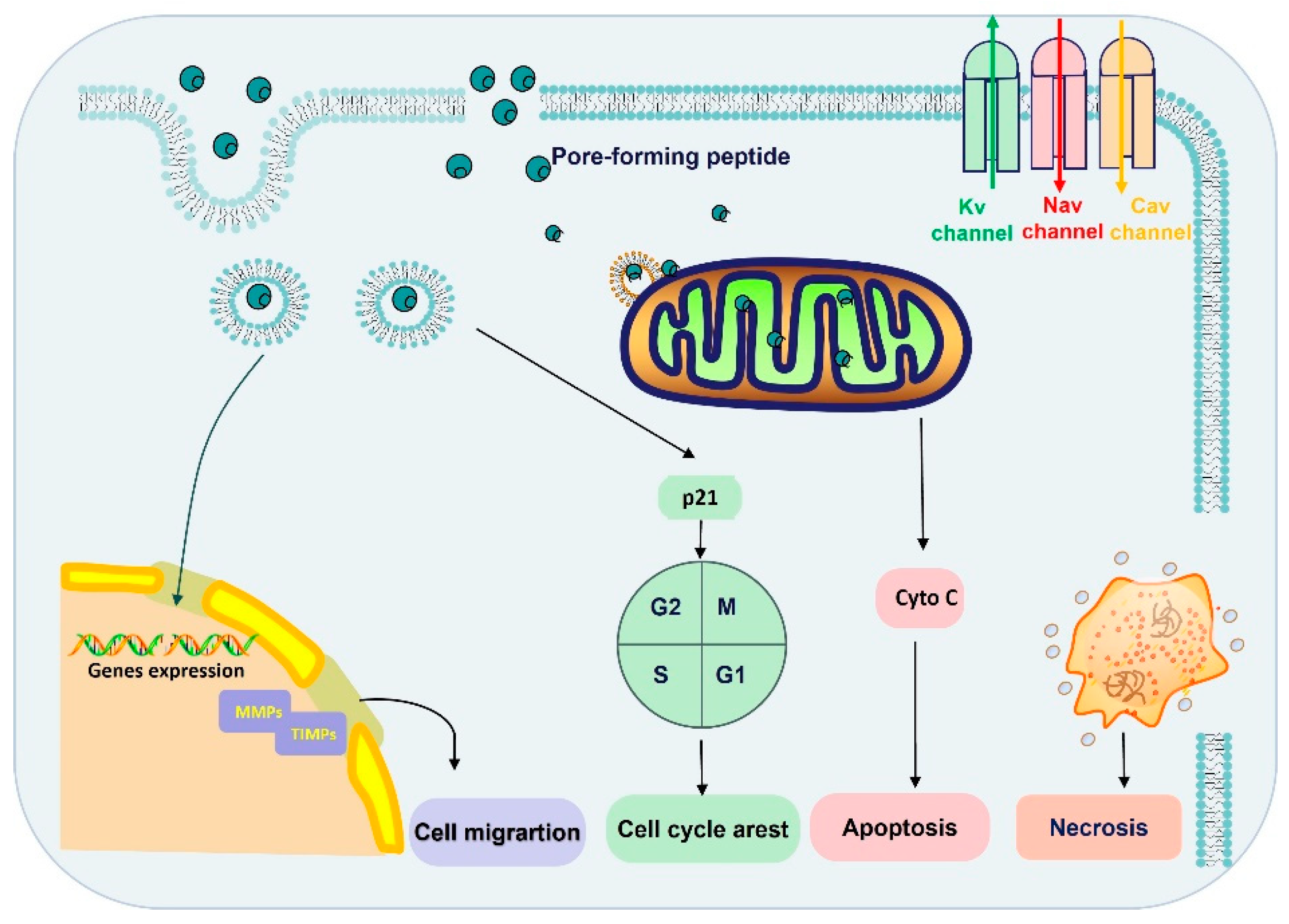 Molecules 29 00035 g003 Molecules 29 00035 g003
