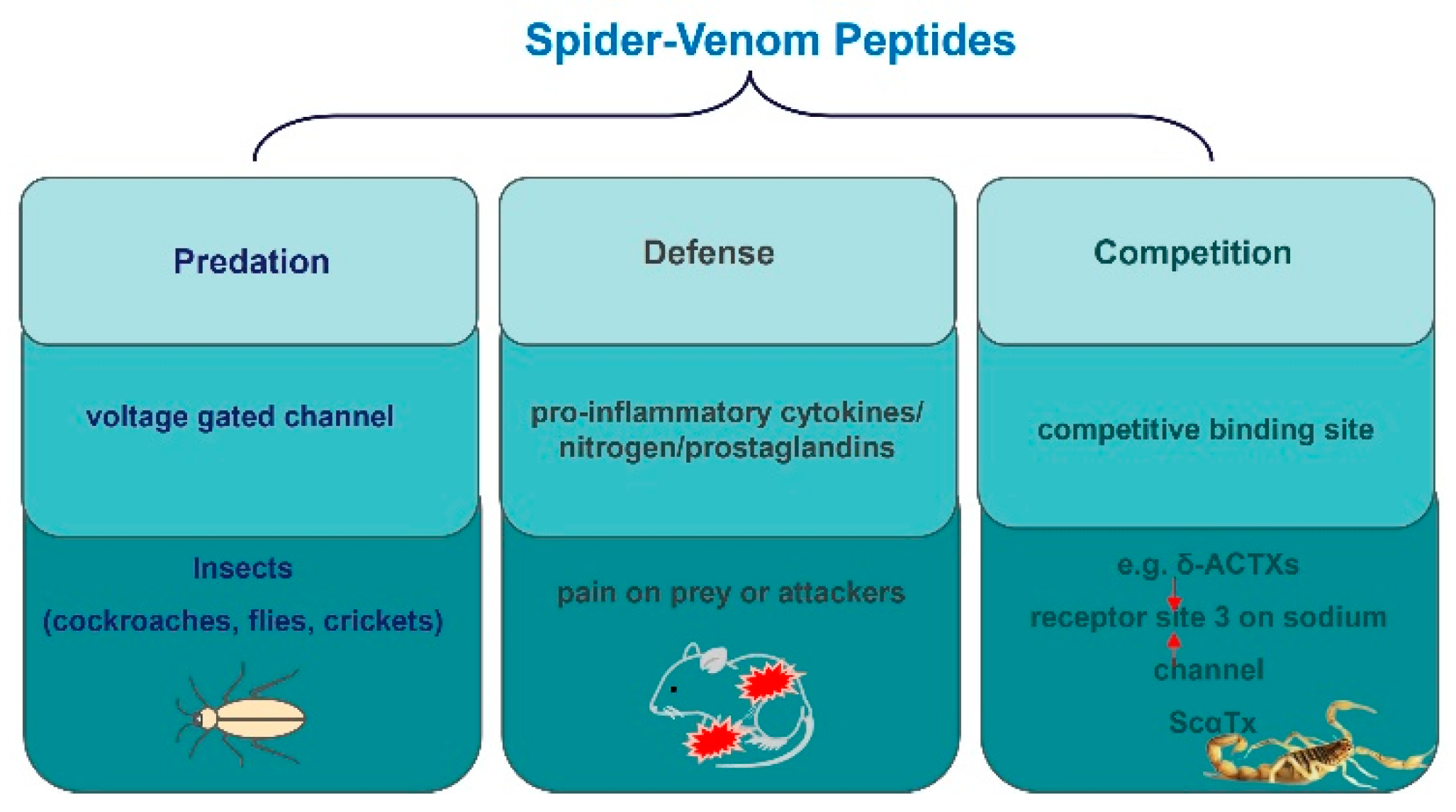 Molecules 29 00035 g005 Molecules 29 00035 g005