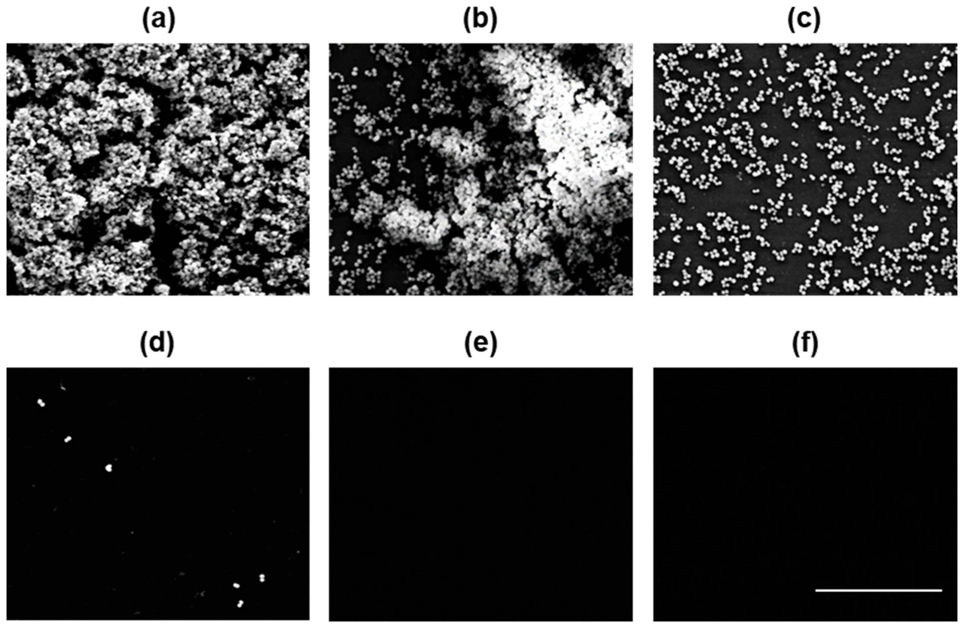 Molecules 29 00037 g003 Molecules 29 00037 g003