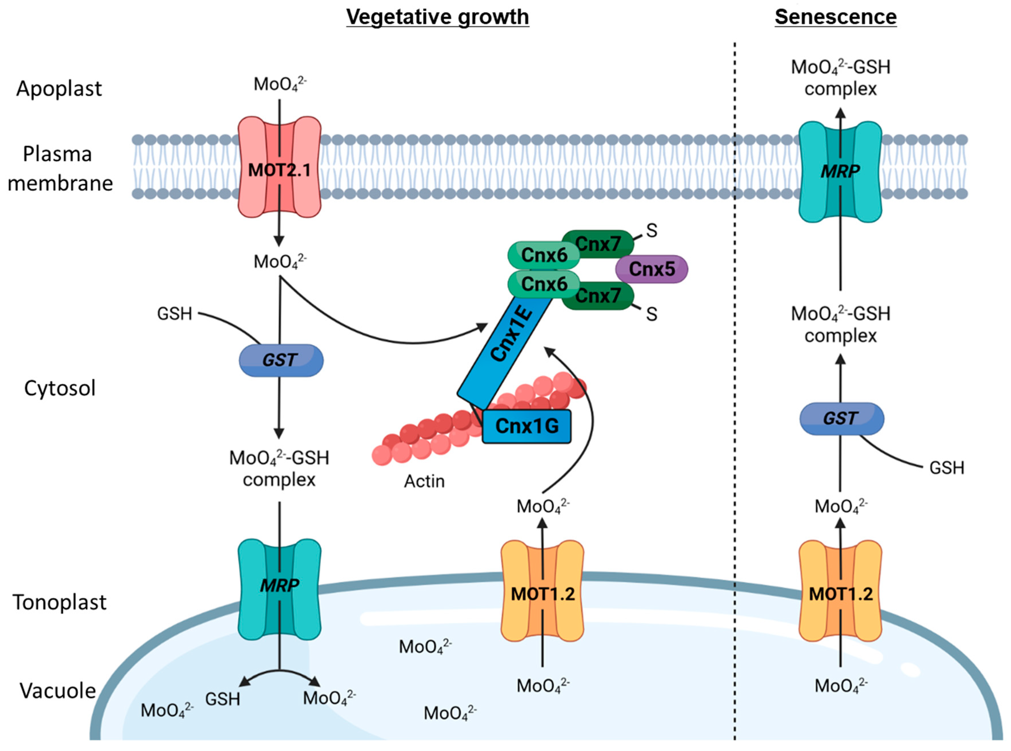 Molecules 29 00040 g005