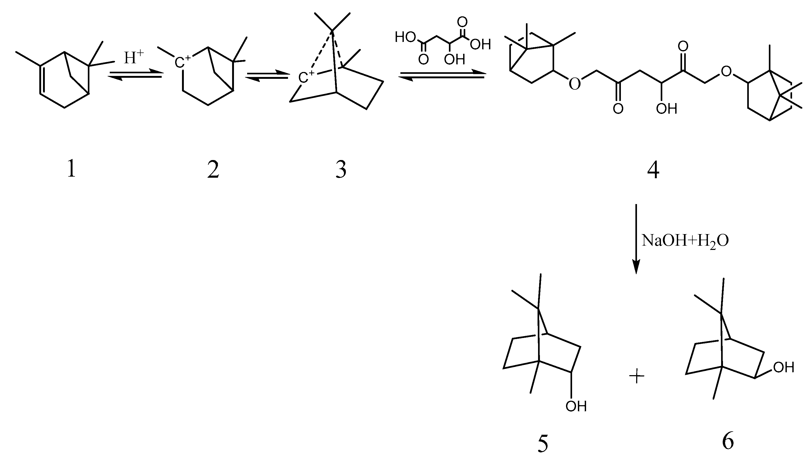 Molecules 29 00043 g005 Molecules 29 00043 g005