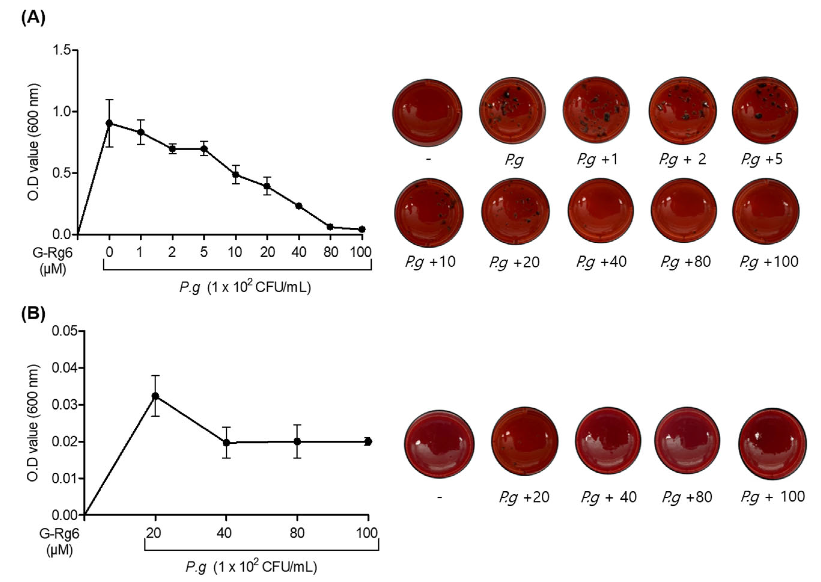 Molecules 29 00046 g004