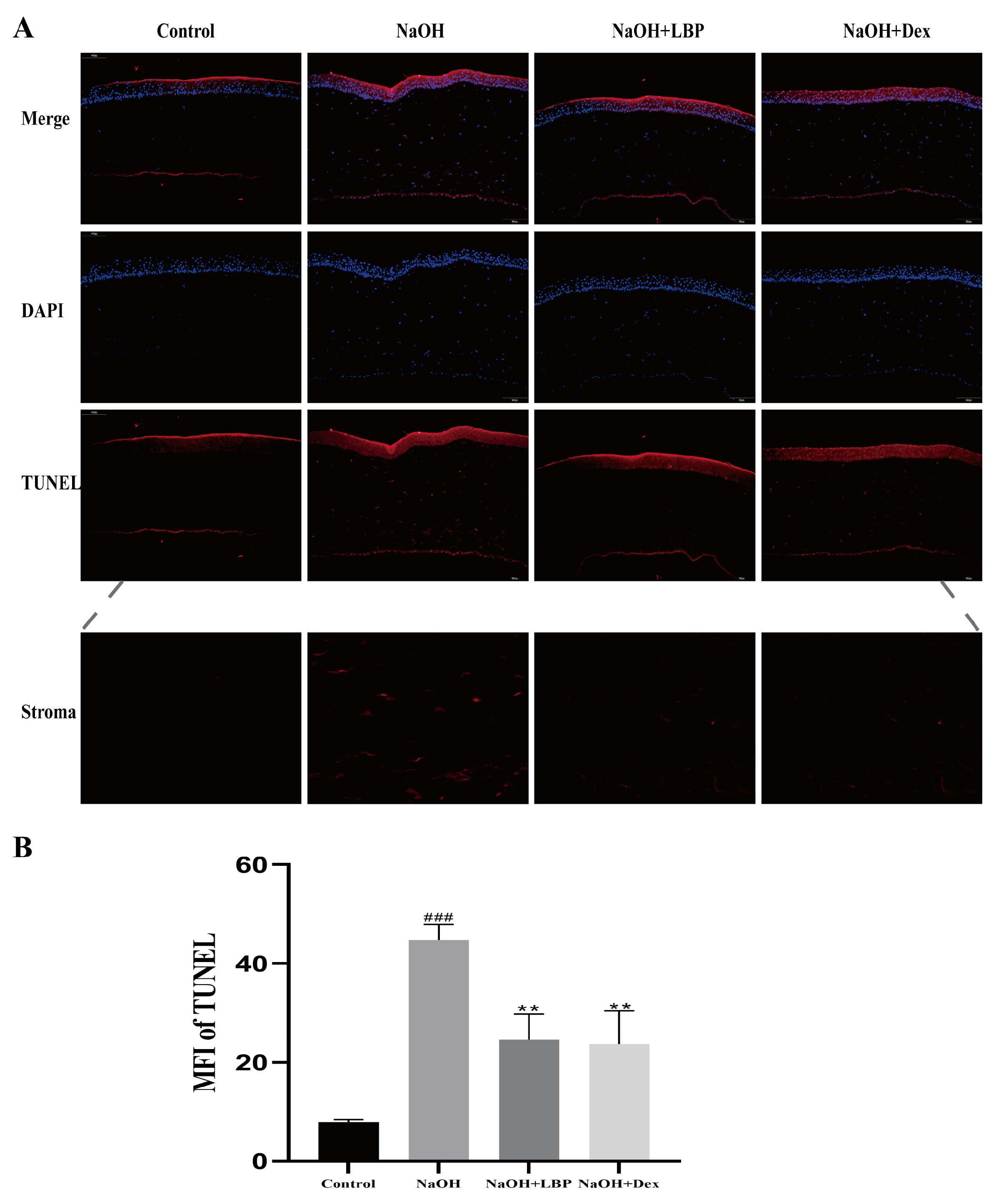 Molecules 29 00049 g007