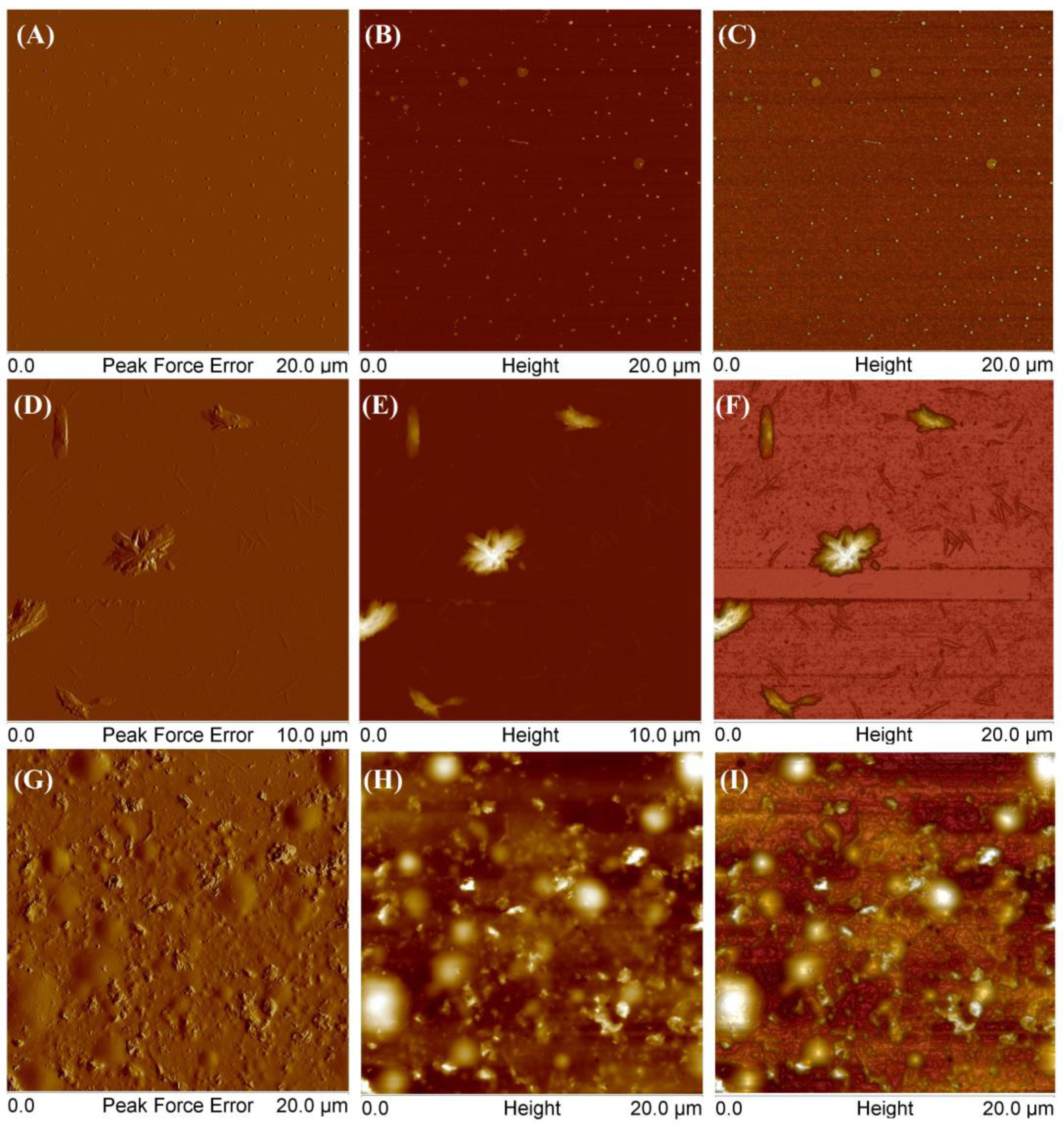 Molecules 29 00055 g011
