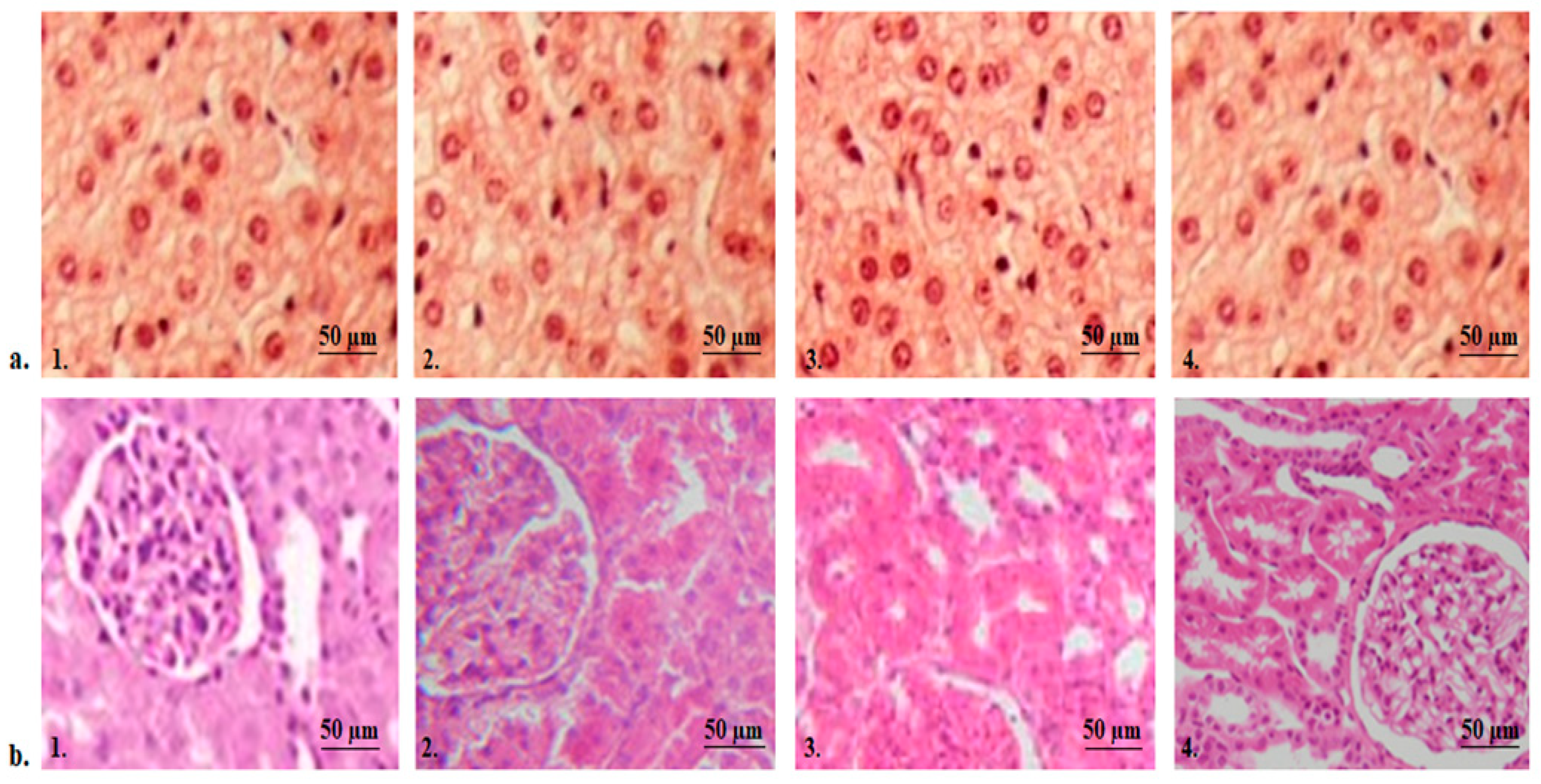 Molecules 29 00057 g010