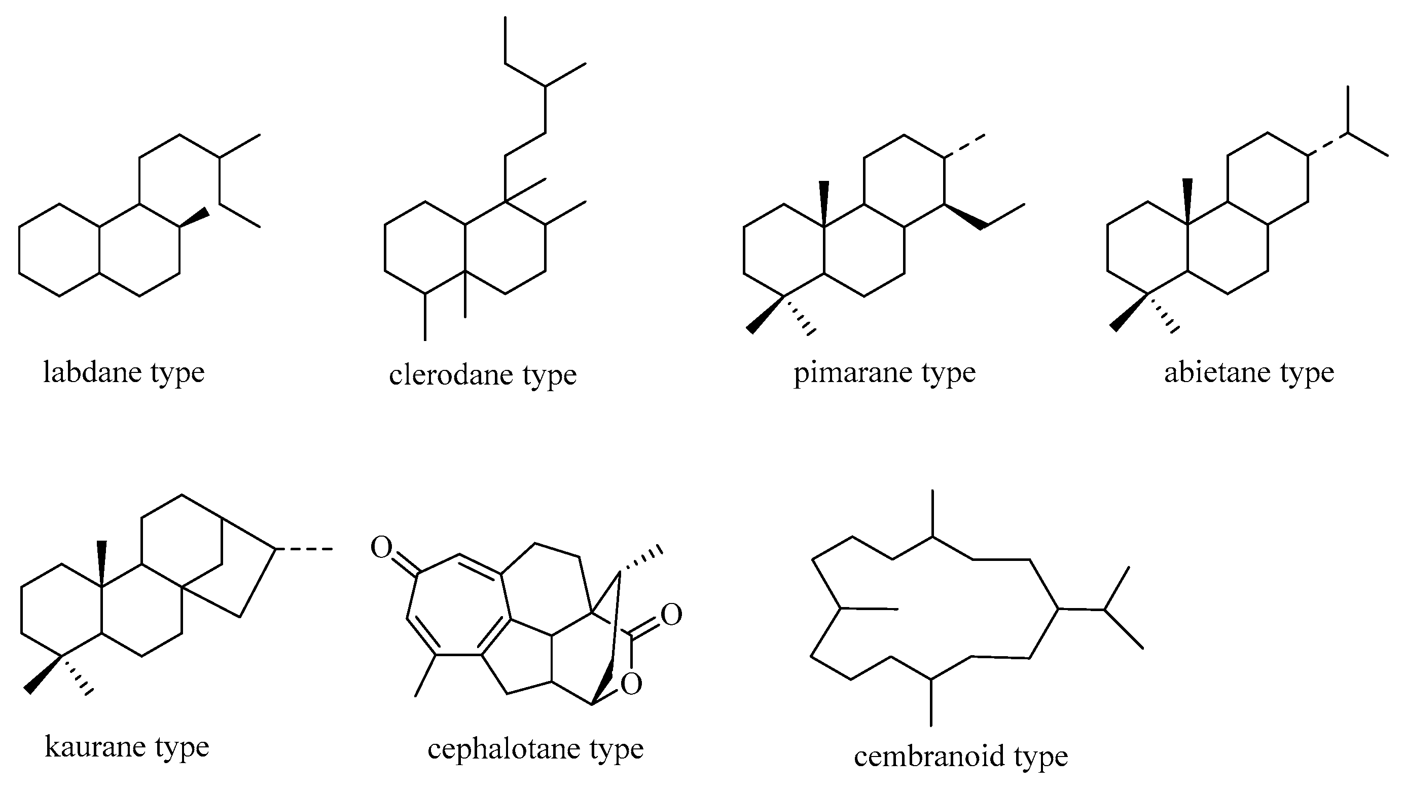 Molecules 29 00060 g001 Molecules 29 00060 g001