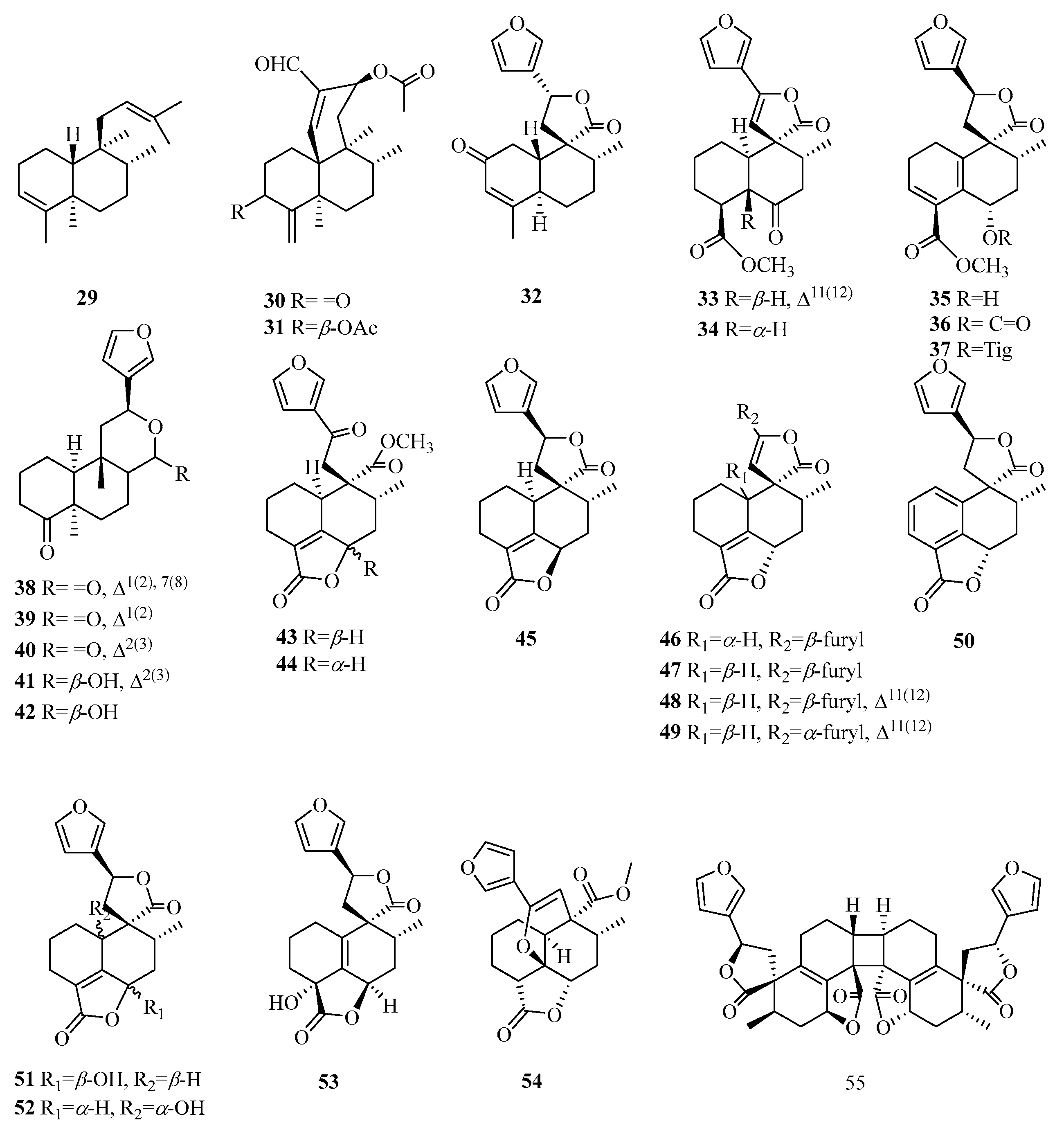 Molecules 29 00060 g004 Molecules 29 00060 g004
