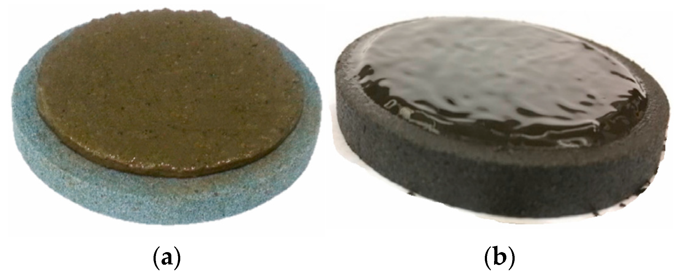 Molecules 29 00062 g001