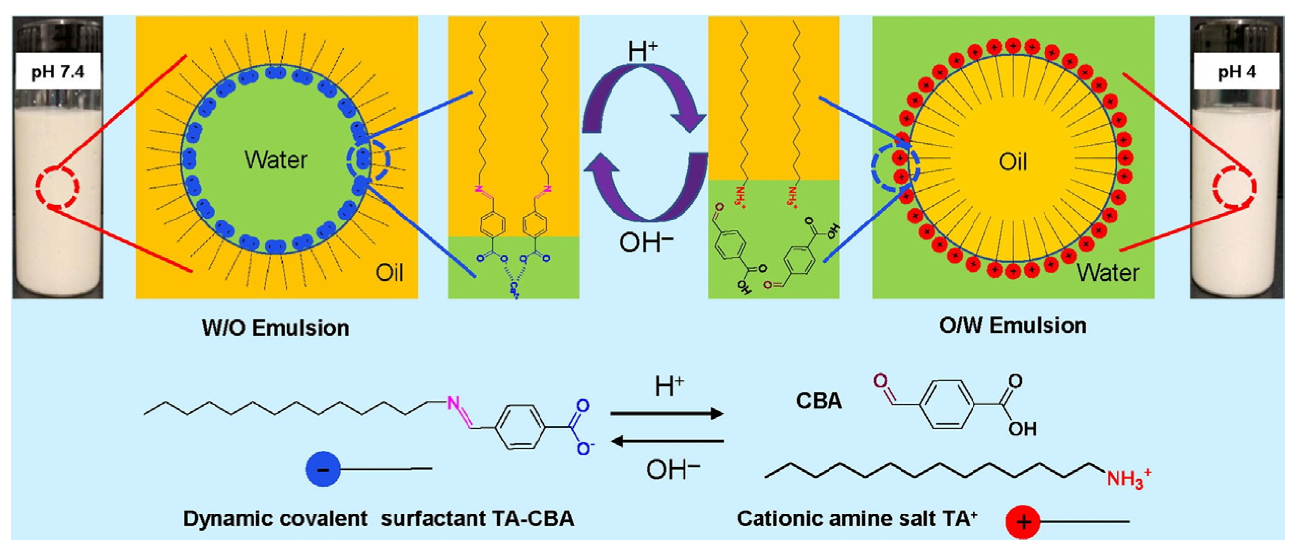 Molecules 29 00062 g003