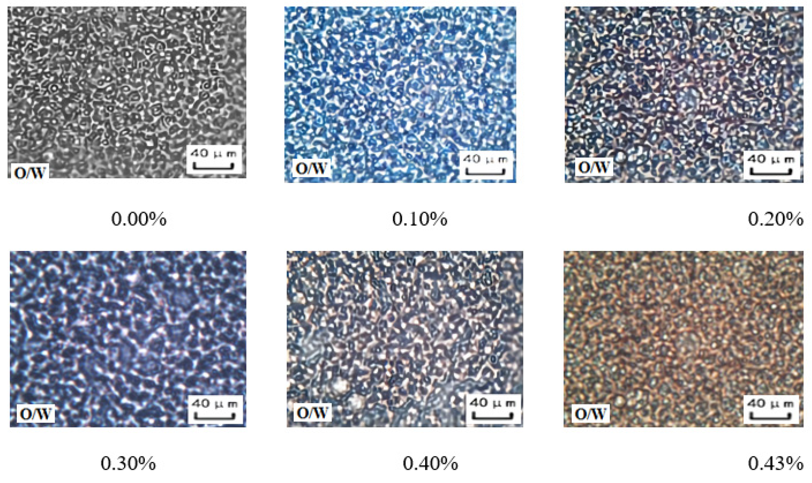 Molecules 29 00062 g008