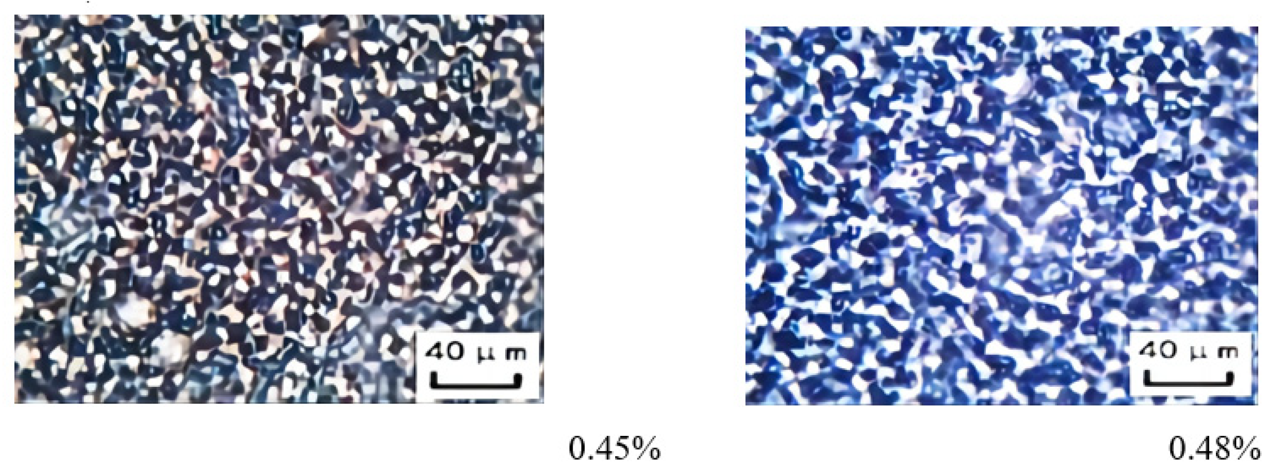 Molecules 29 00062 g012
