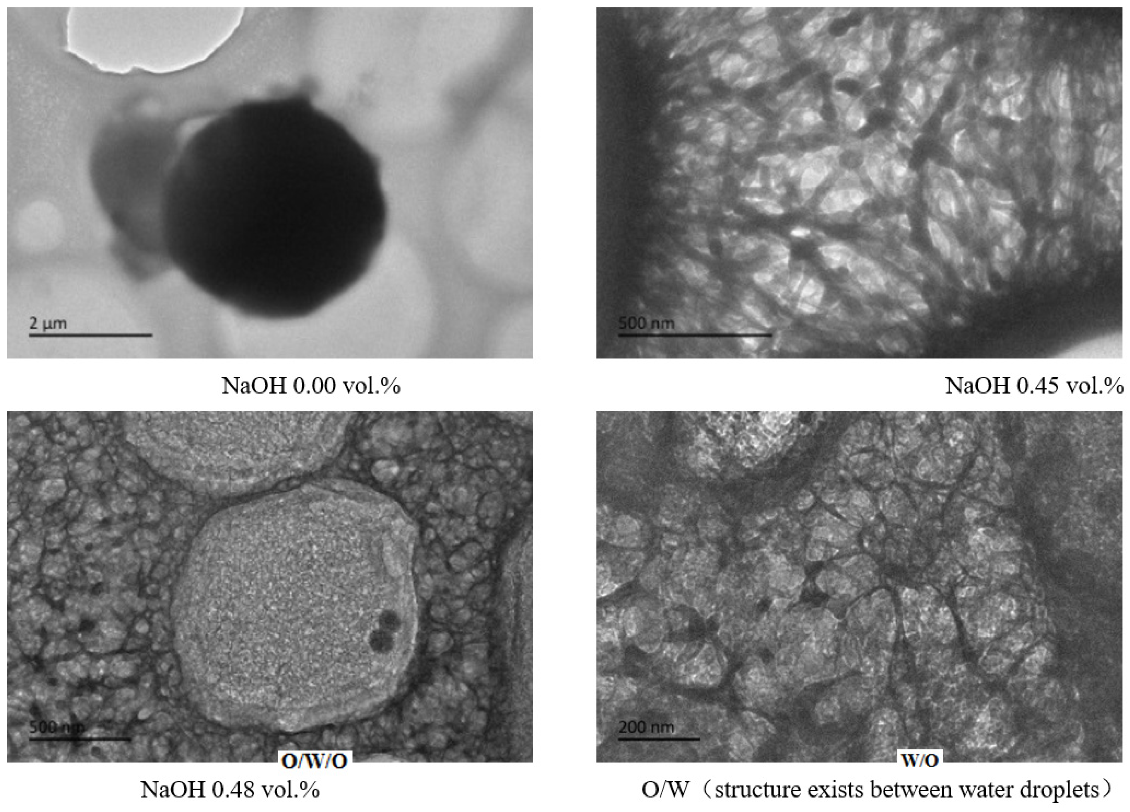 Molecules 29 00062 g015
