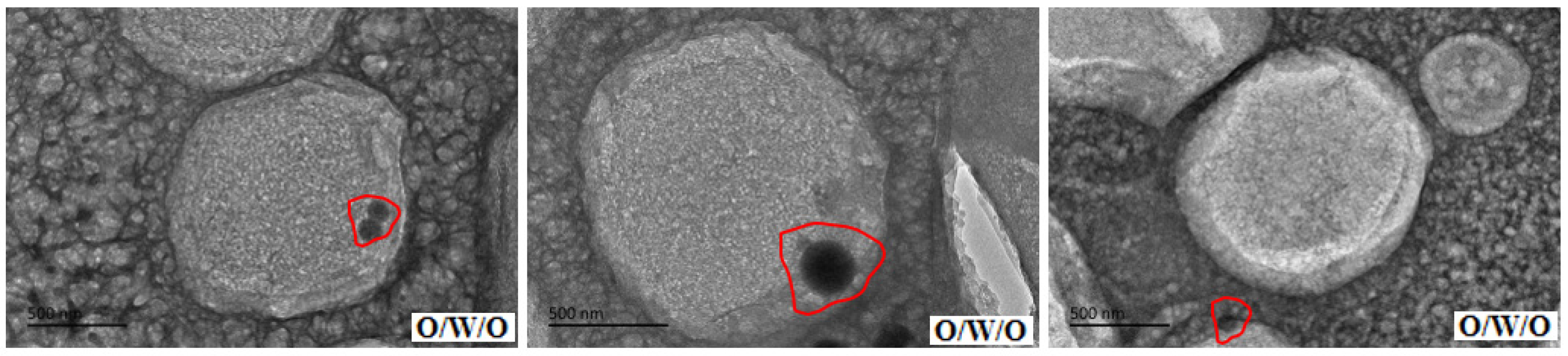 Molecules 29 00062 g016