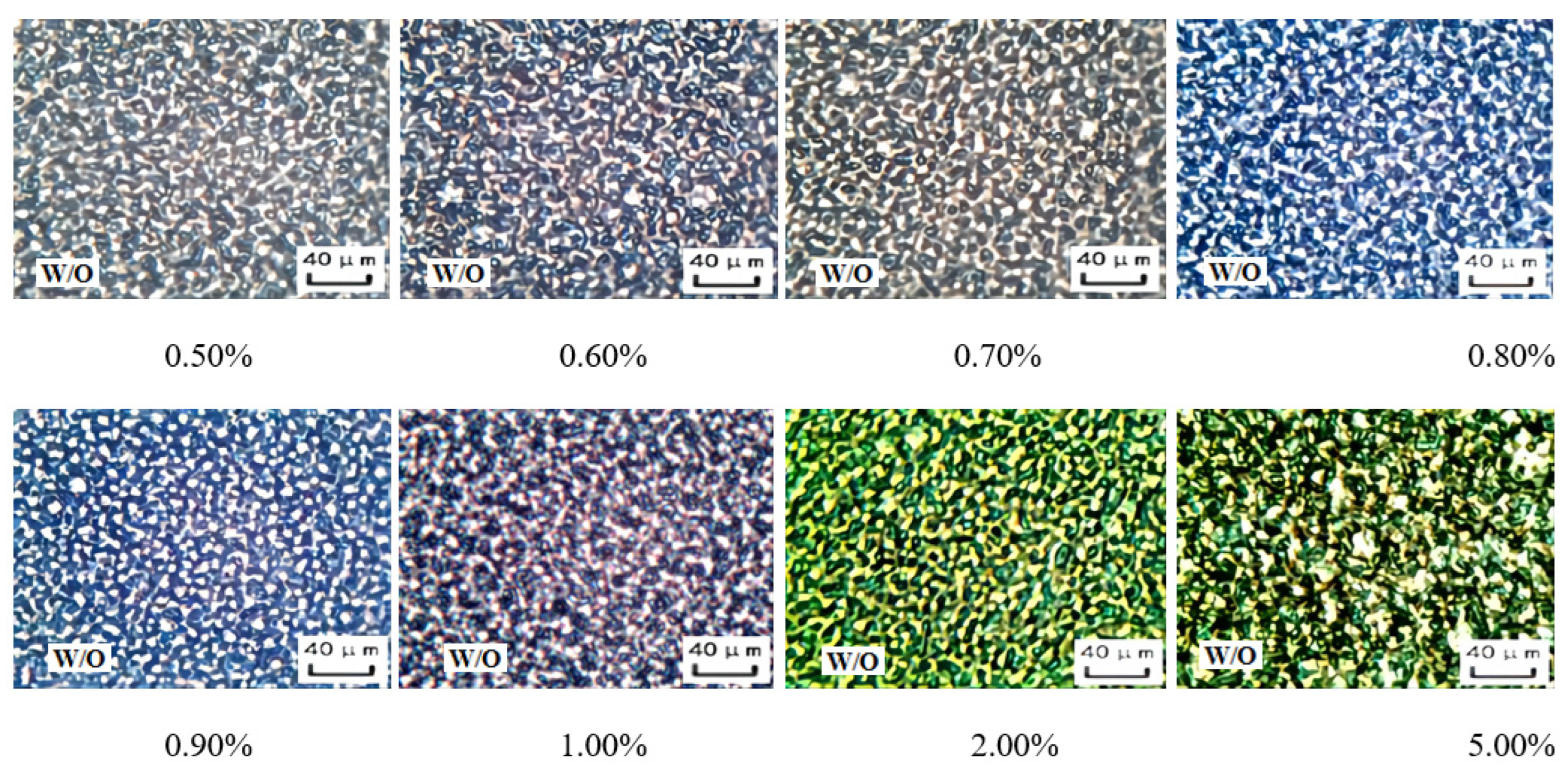 Molecules 29 00062 g018