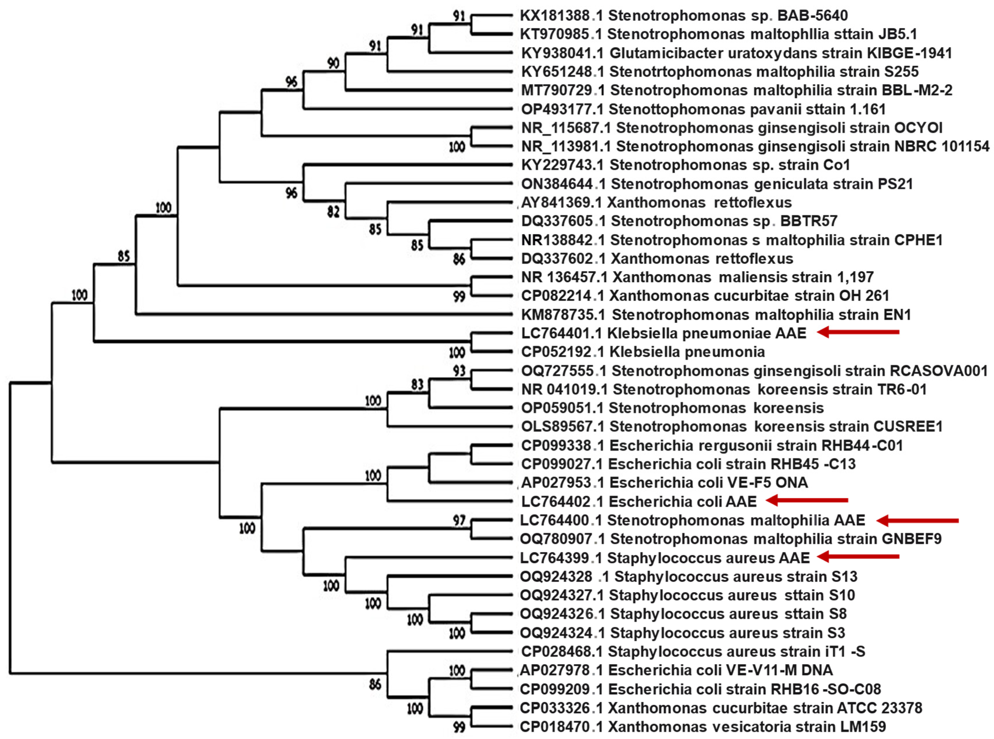 Molecules 29 00064 g001 Molecules 29 00064 g001