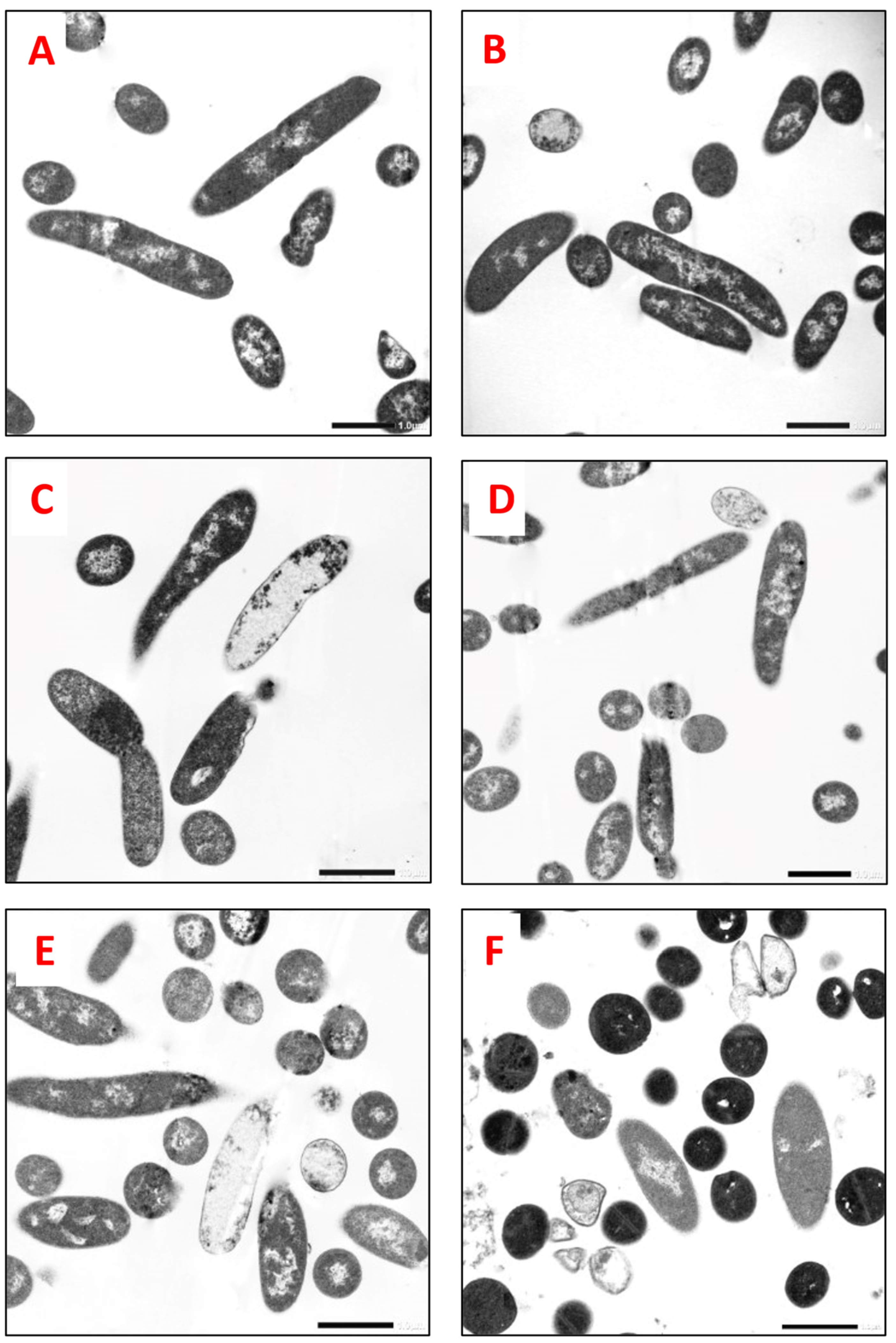 Molecules 29 00064 g003 Molecules 29 00064 g003