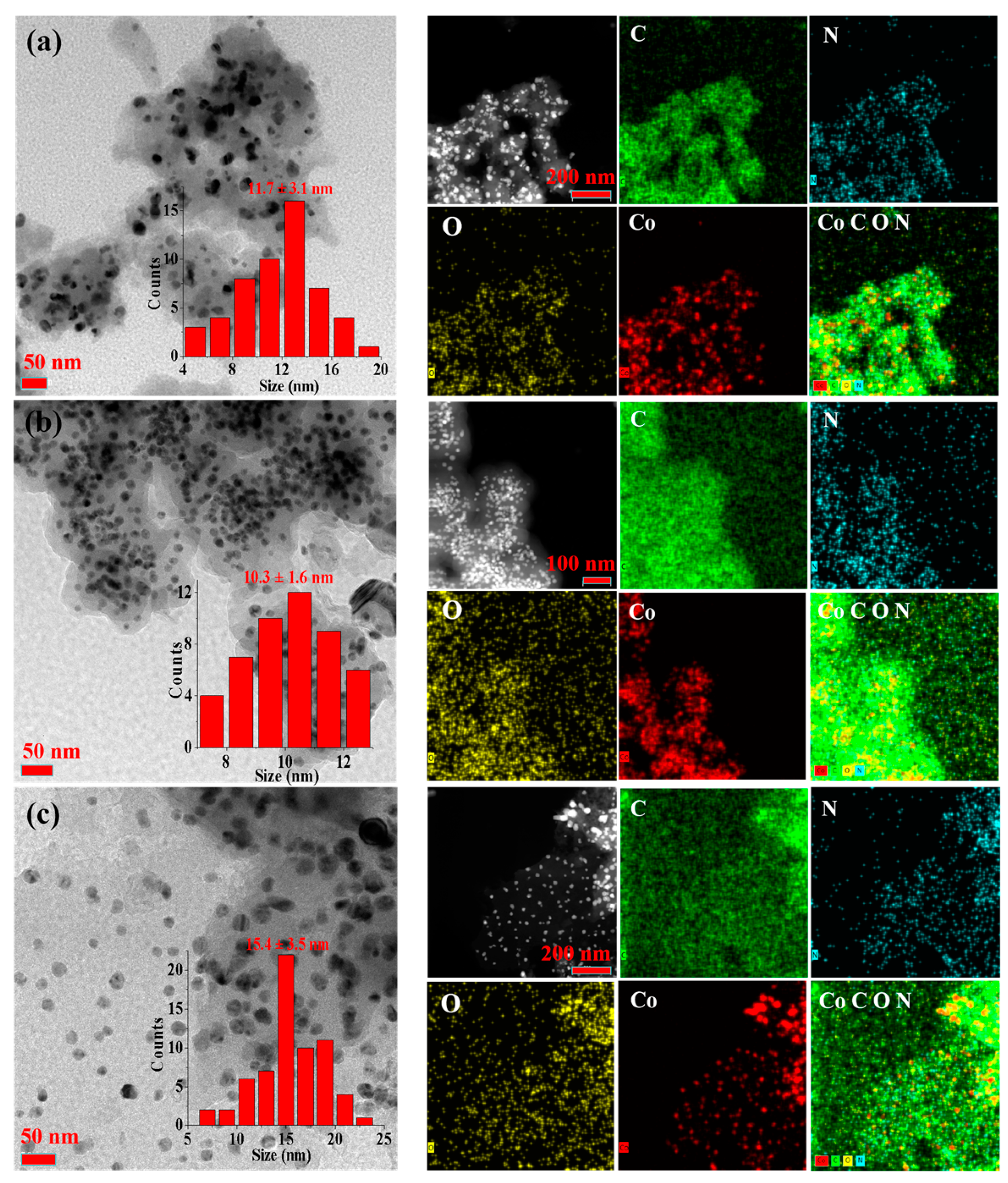 Molecules 29 00065 g003