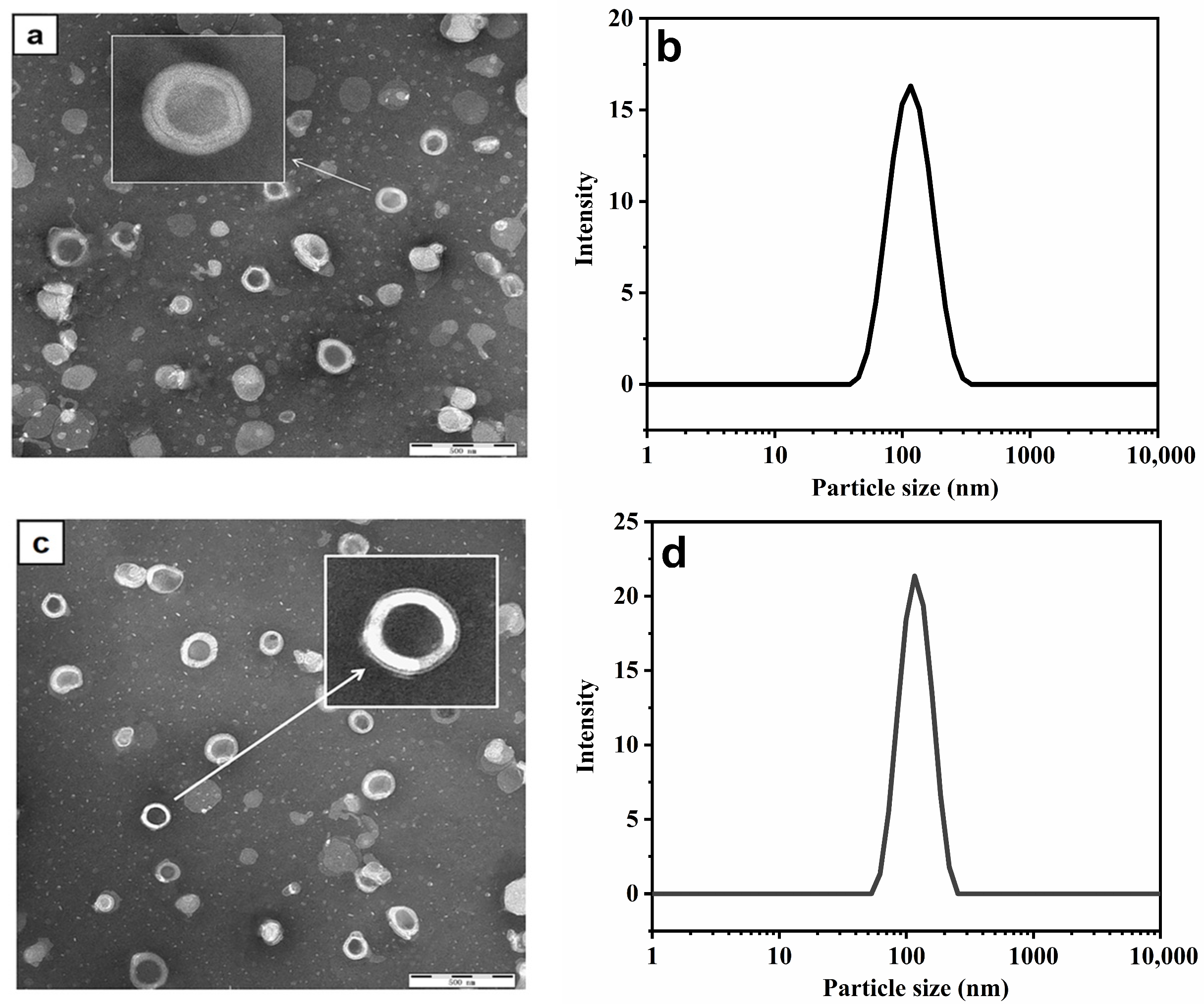 Molecules 29 00066 g007