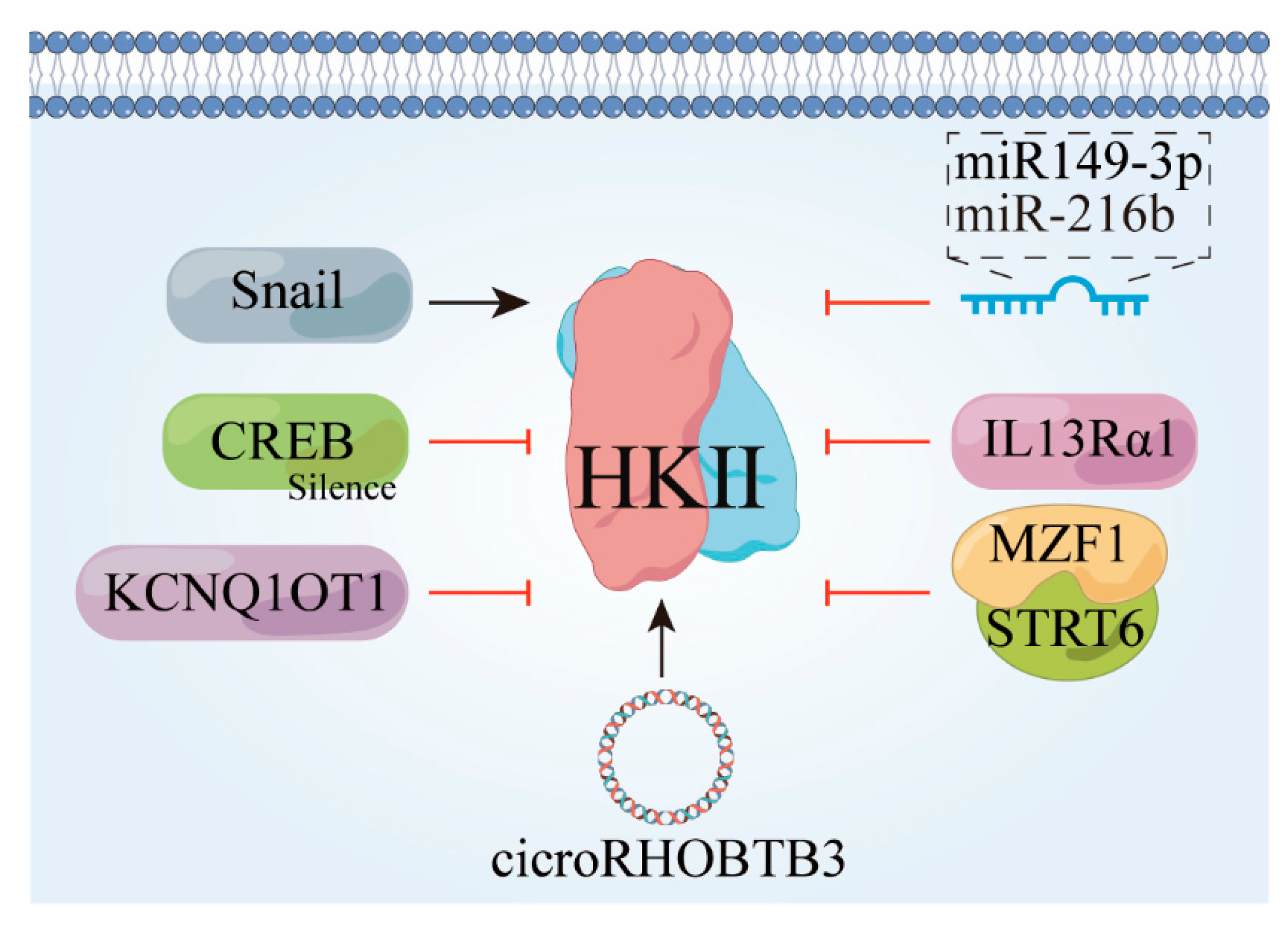 Molecules 29 00075 g004