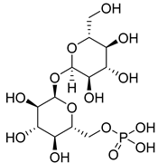 Molecules 29 00075 i022