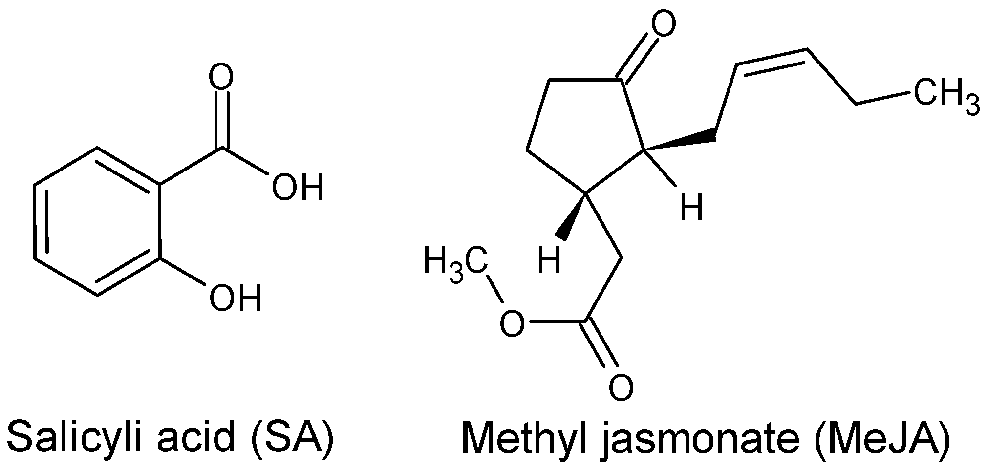 Molecules 29 00080 g001