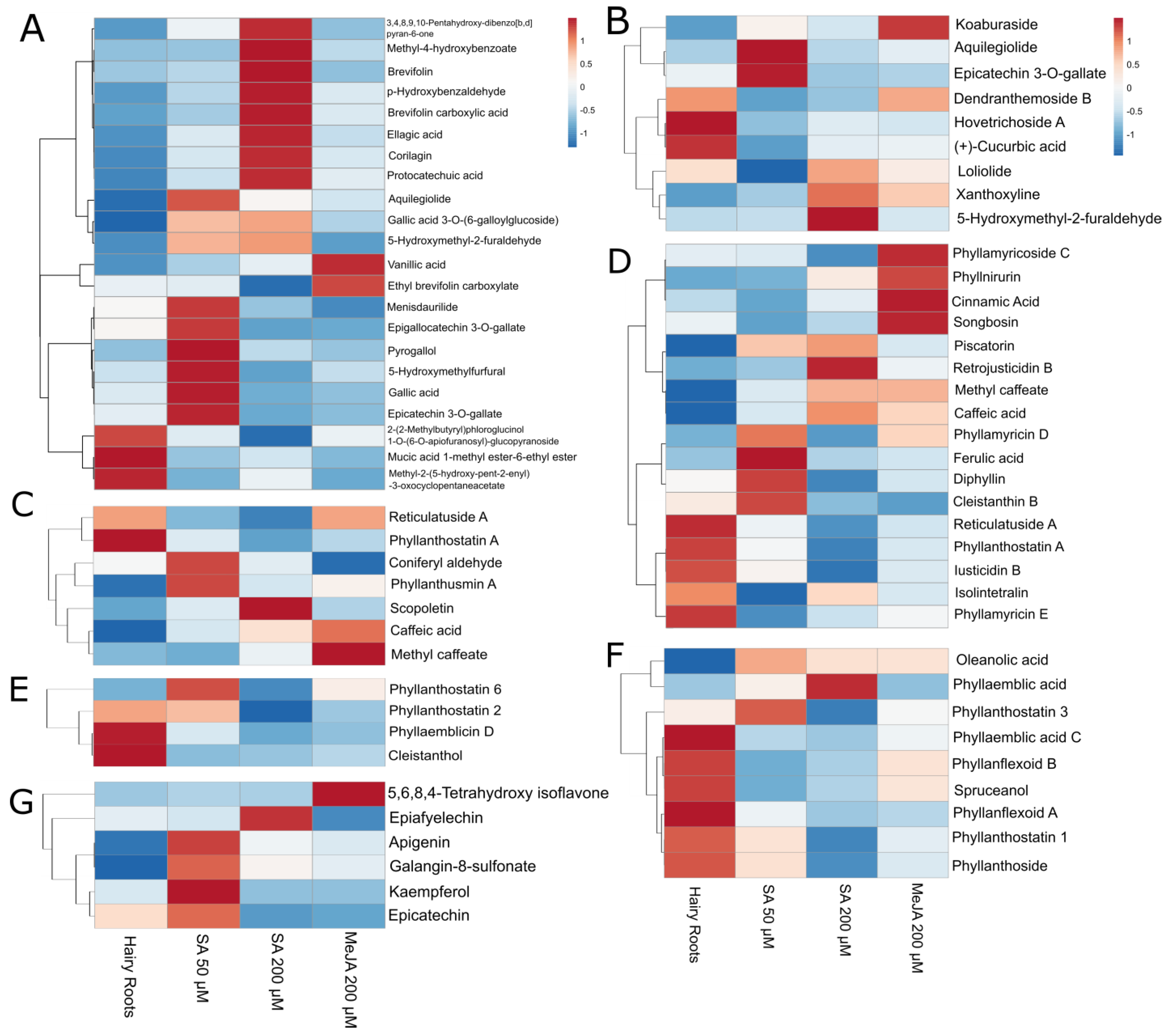 Molecules 29 00080 g006