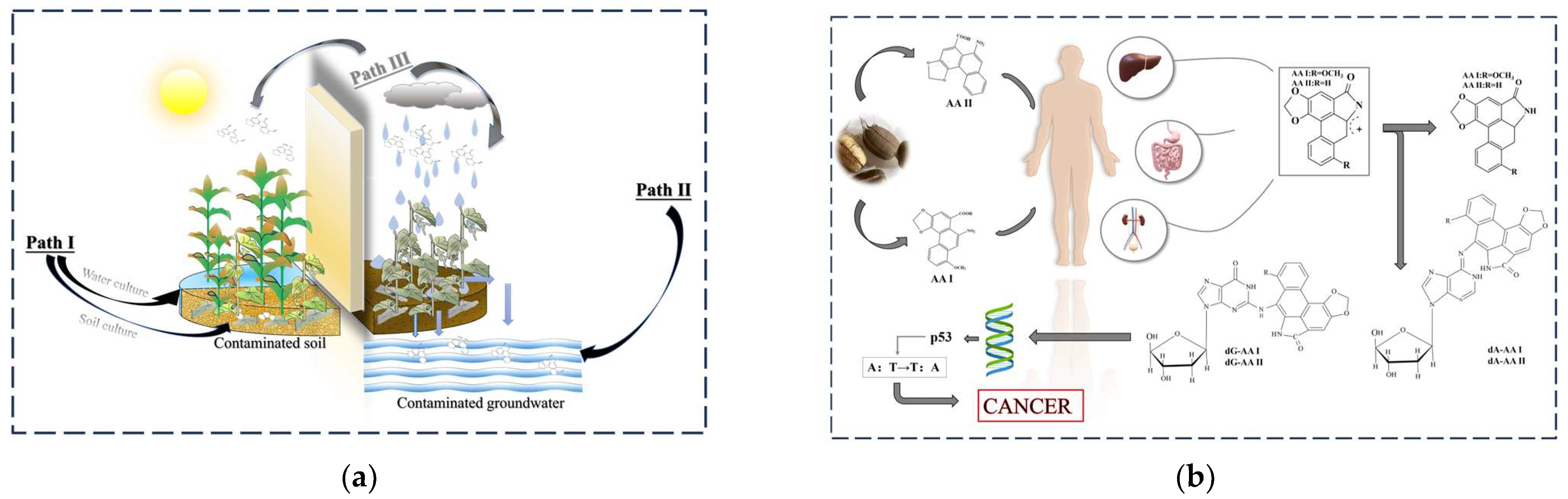 Molecules 29 00081 g001 Molecules 29 00081 g001